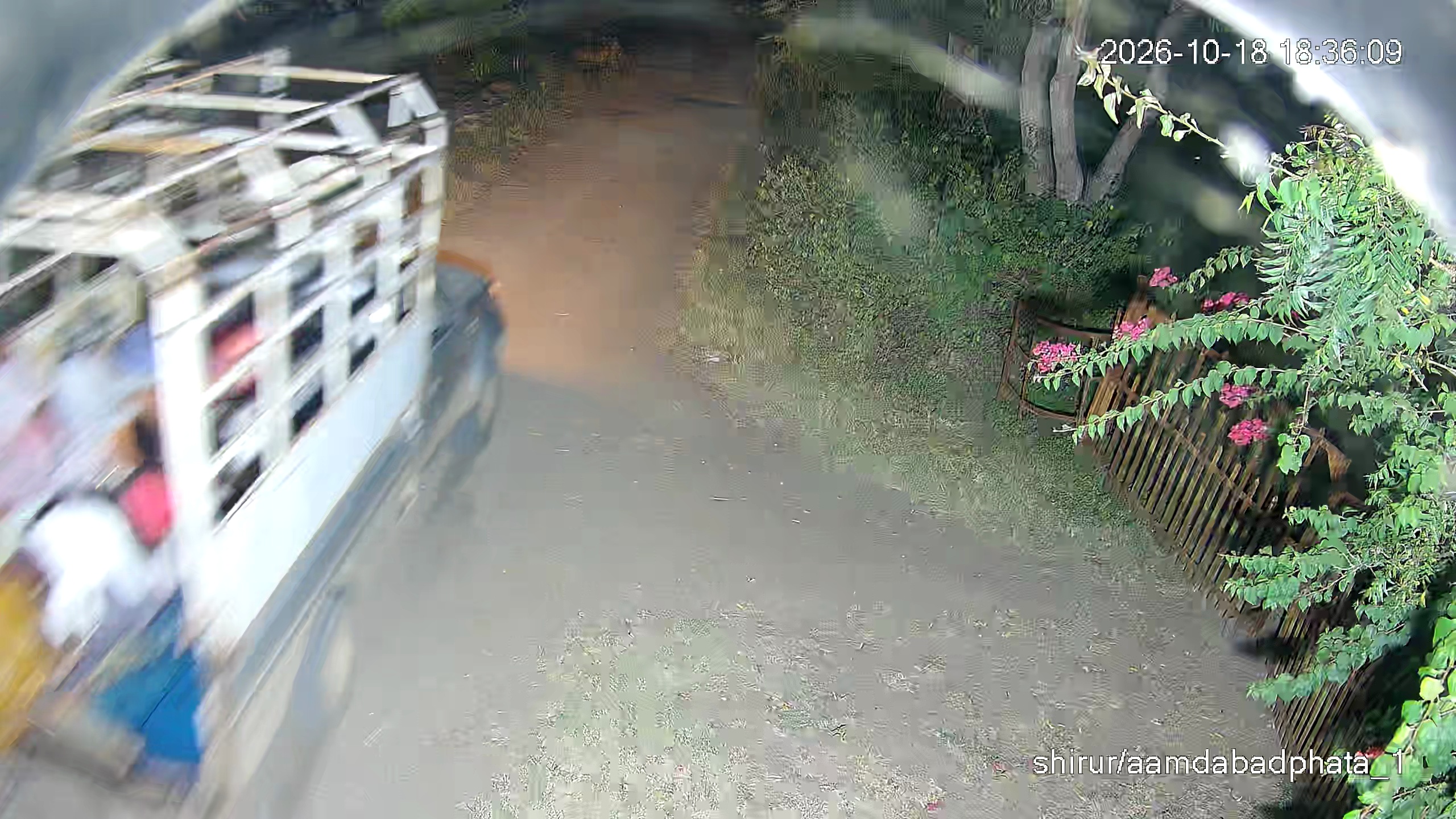 Leopard Image