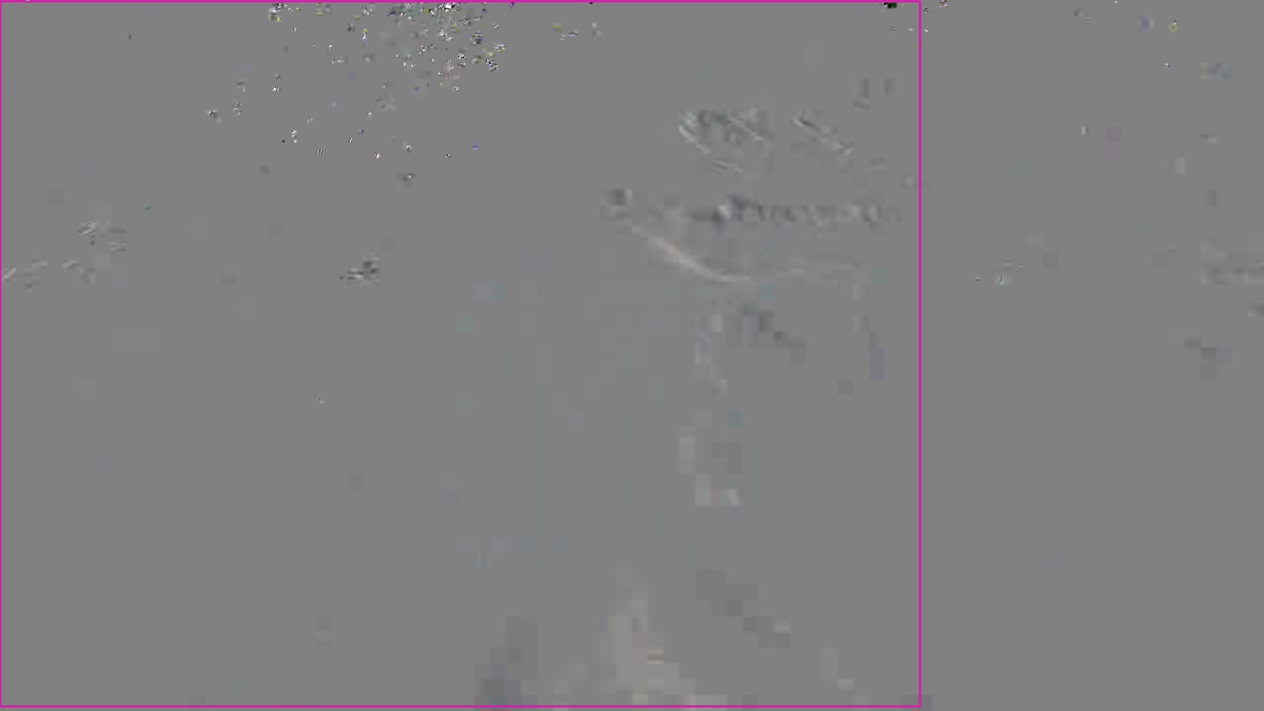 Leopard Image