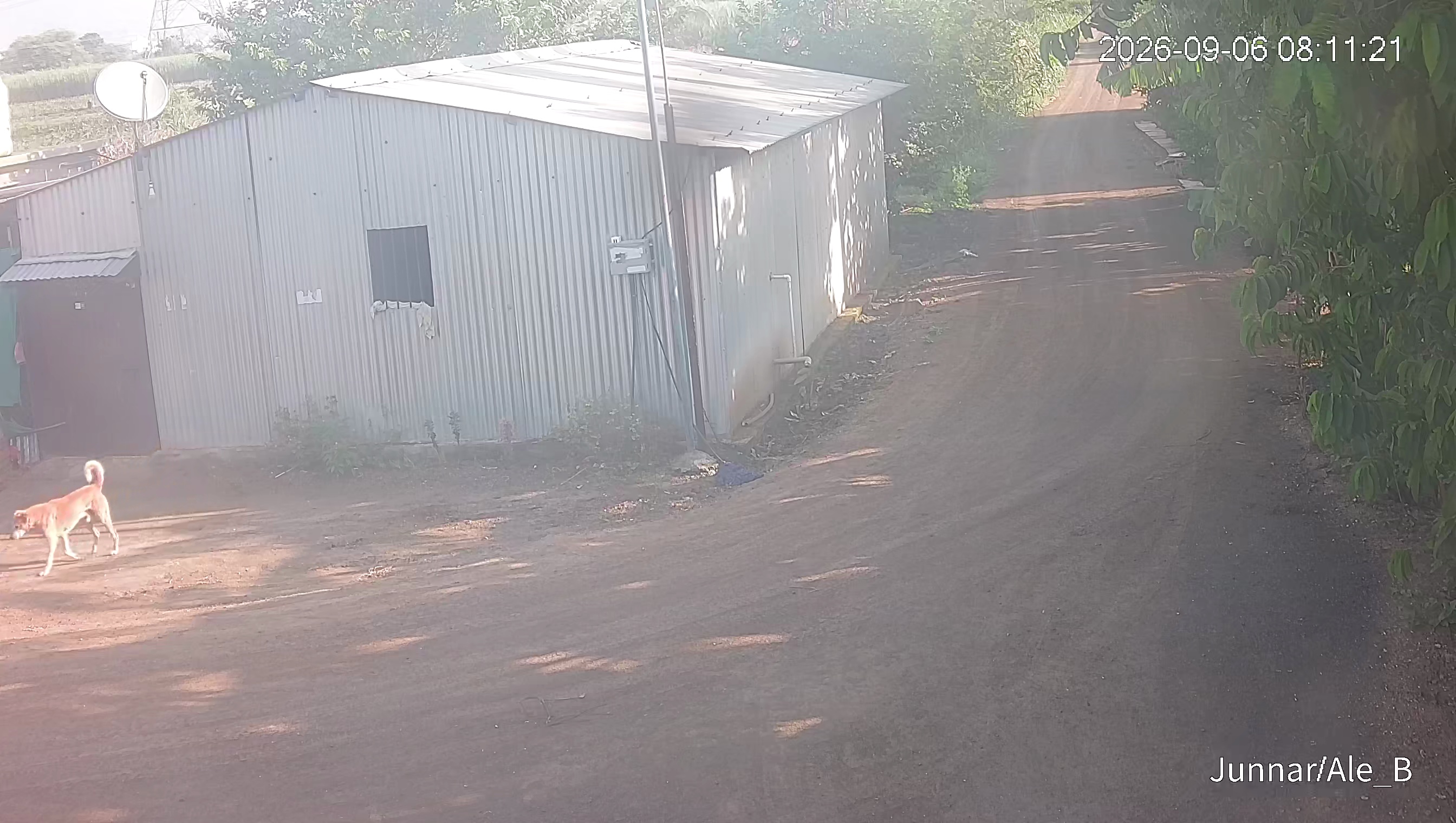 Leopard Image