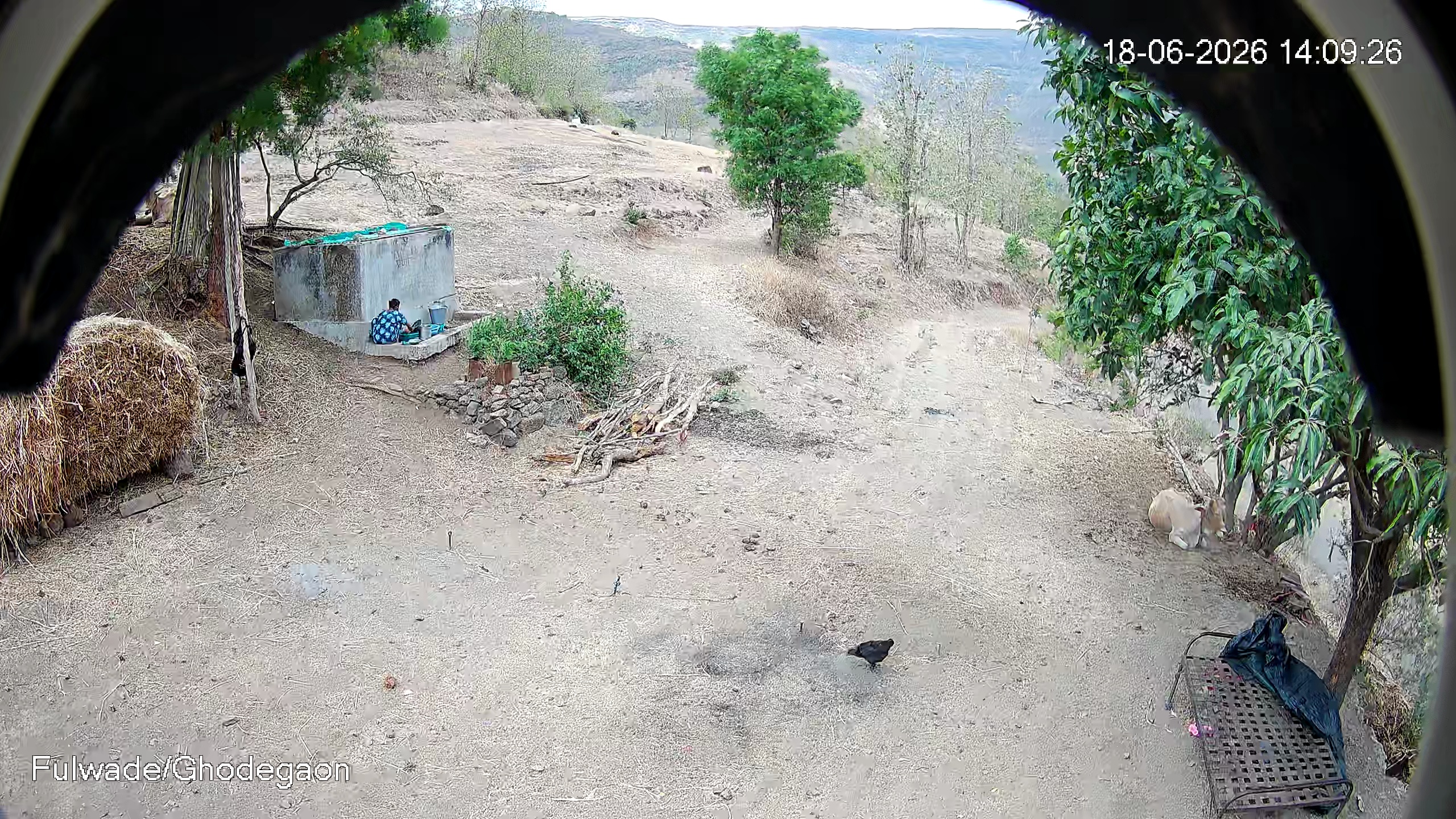 Leopard Image