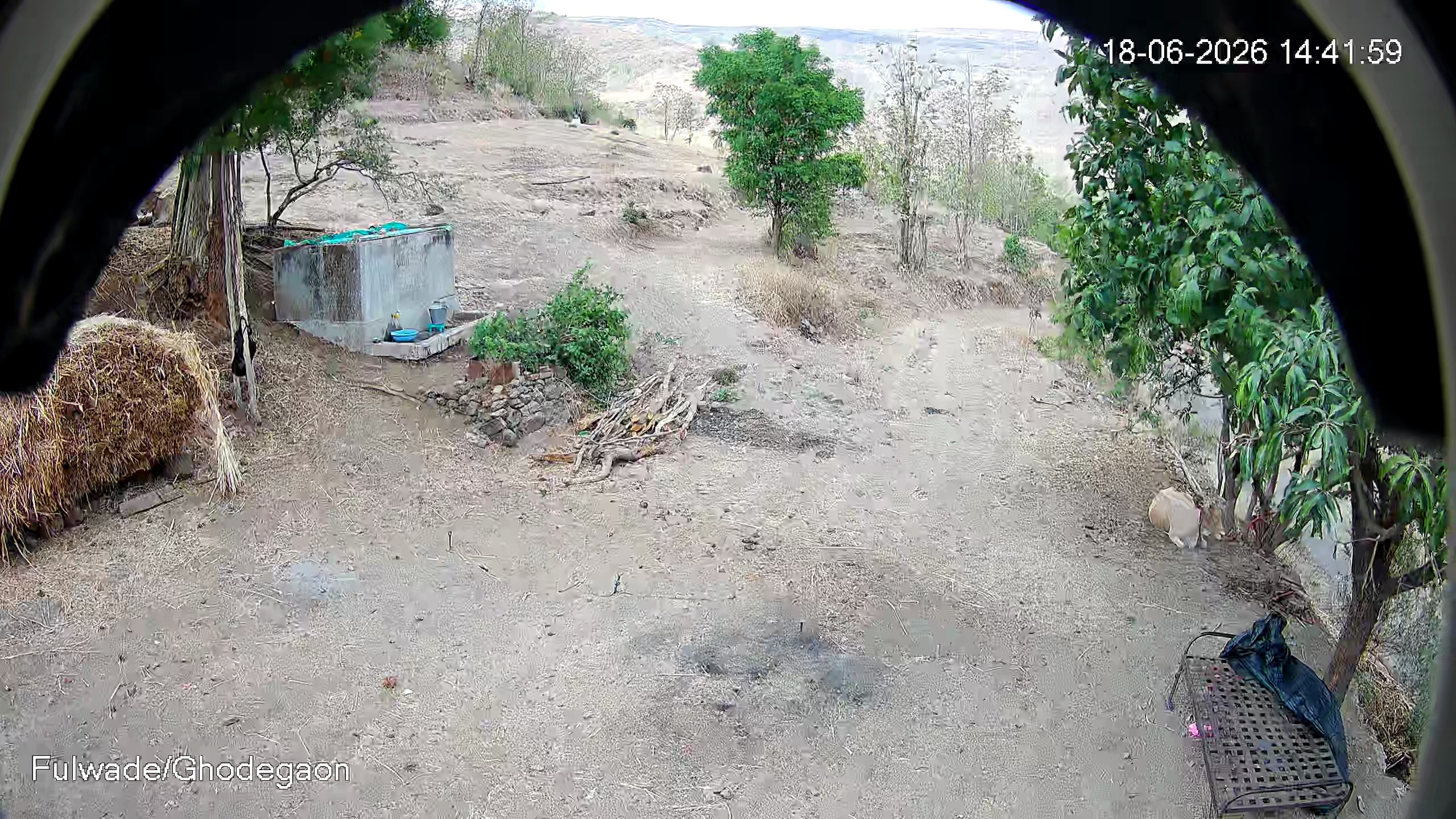 Leopard Image