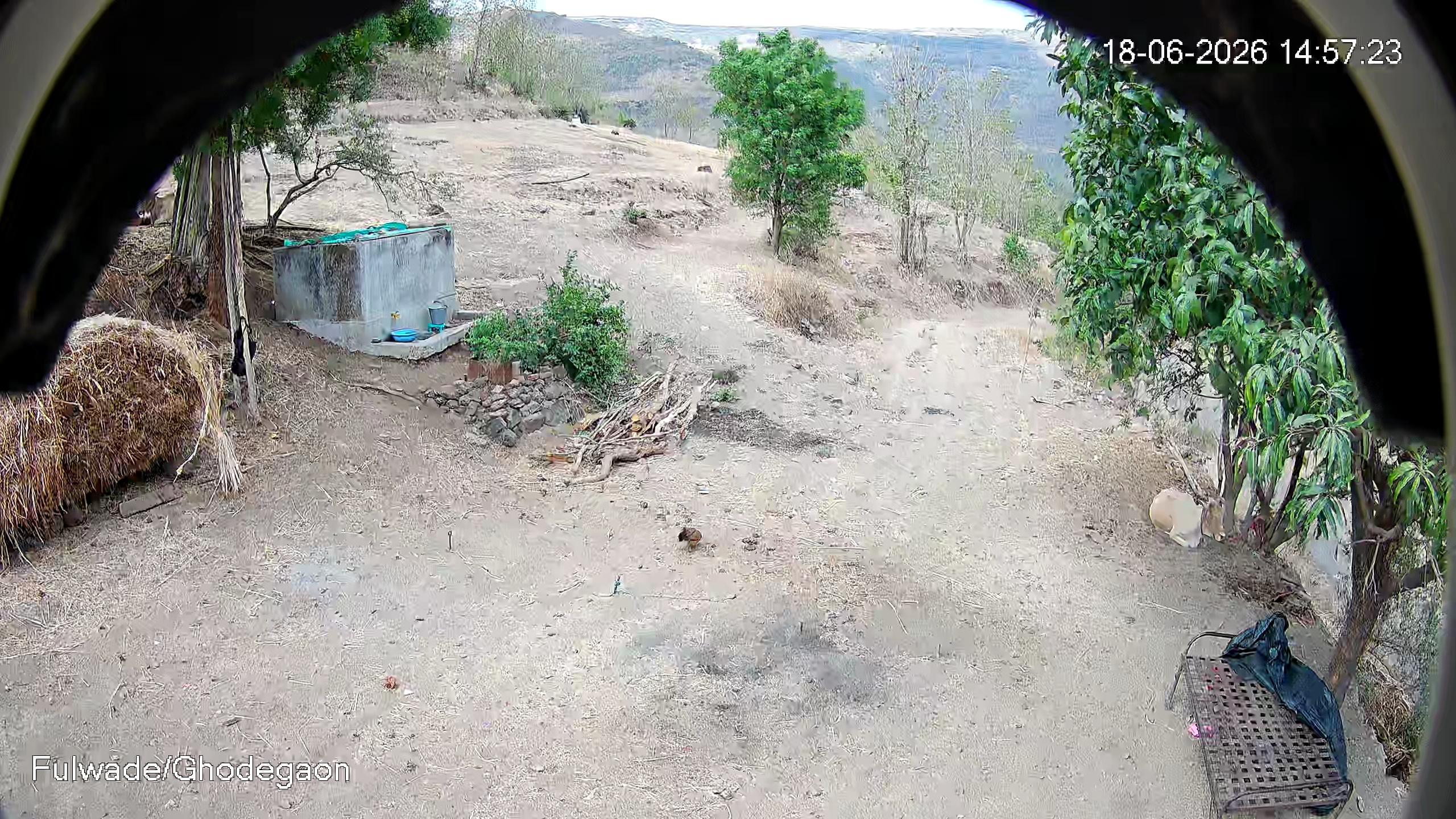 Leopard Image