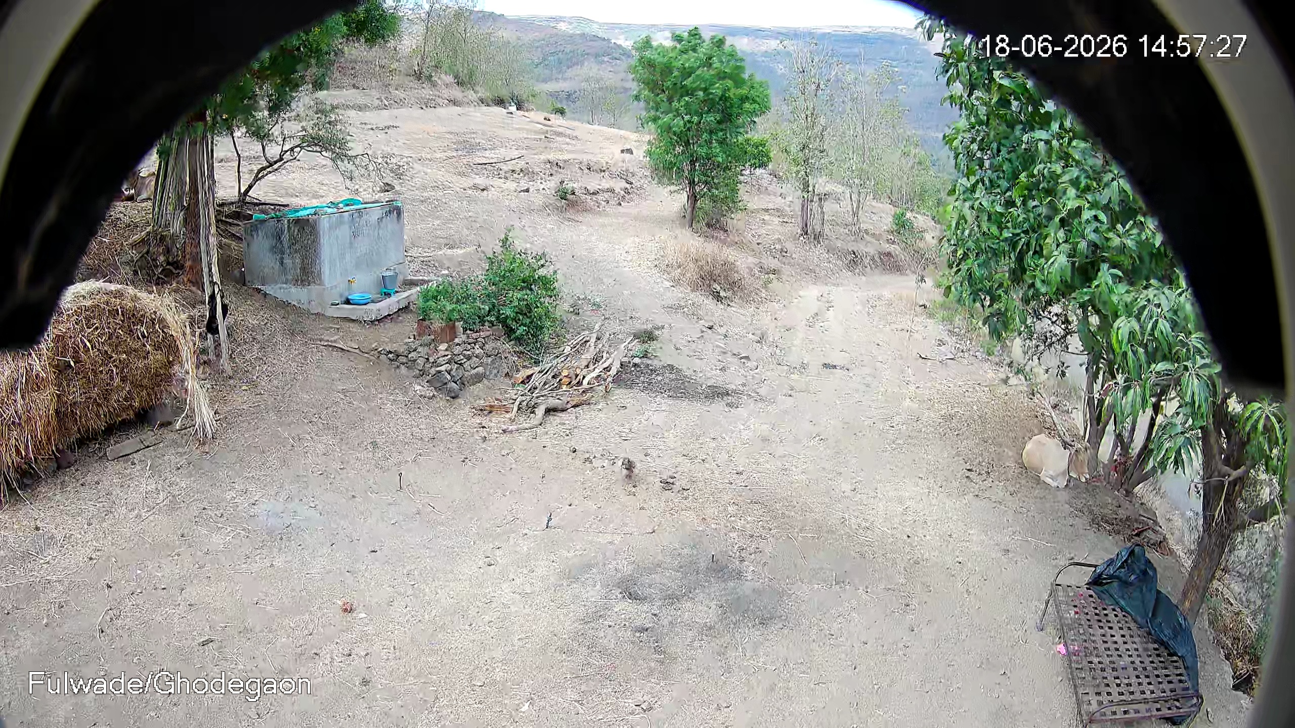 Leopard Image