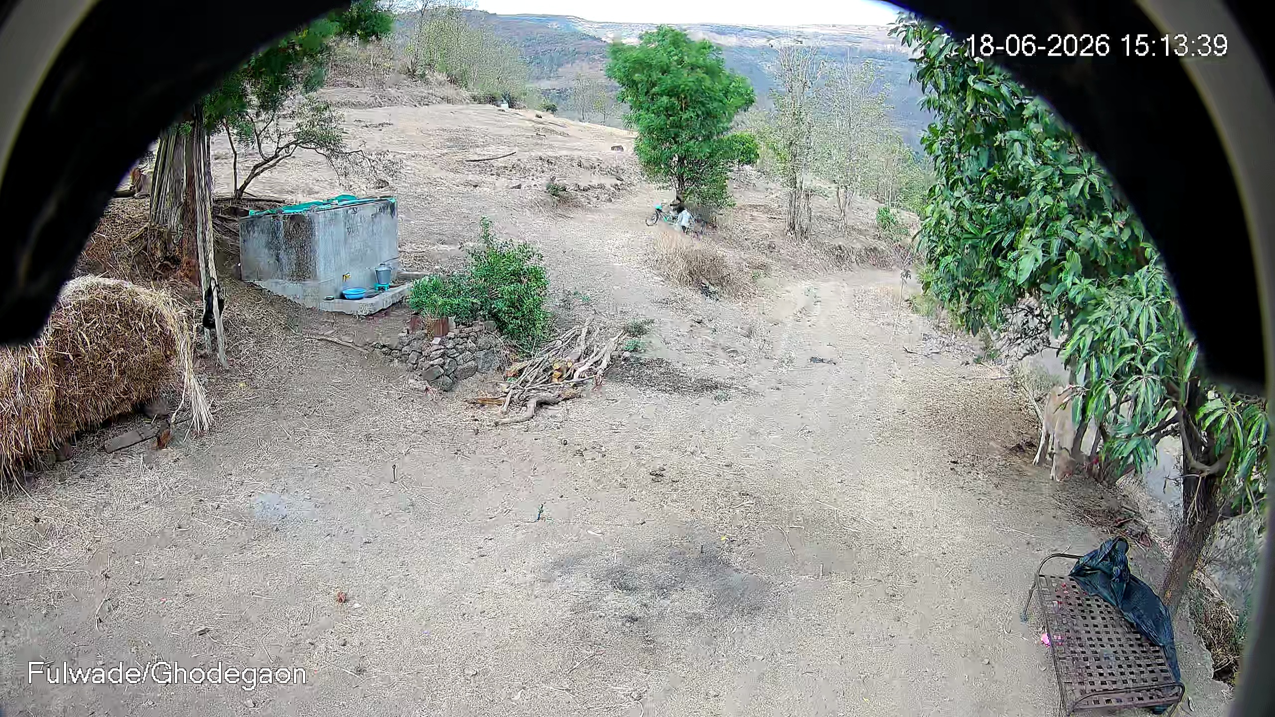 Leopard Image