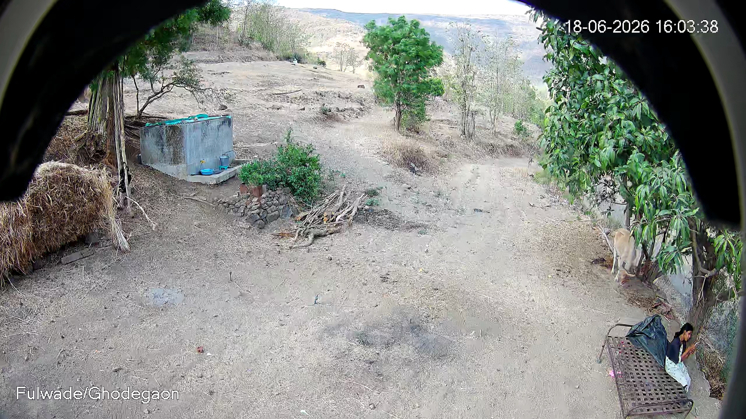 Leopard Image