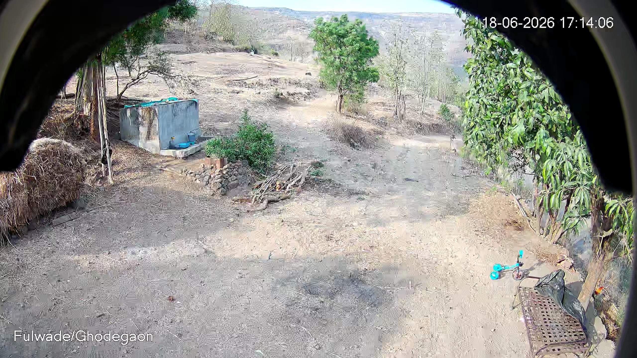 Leopard Image