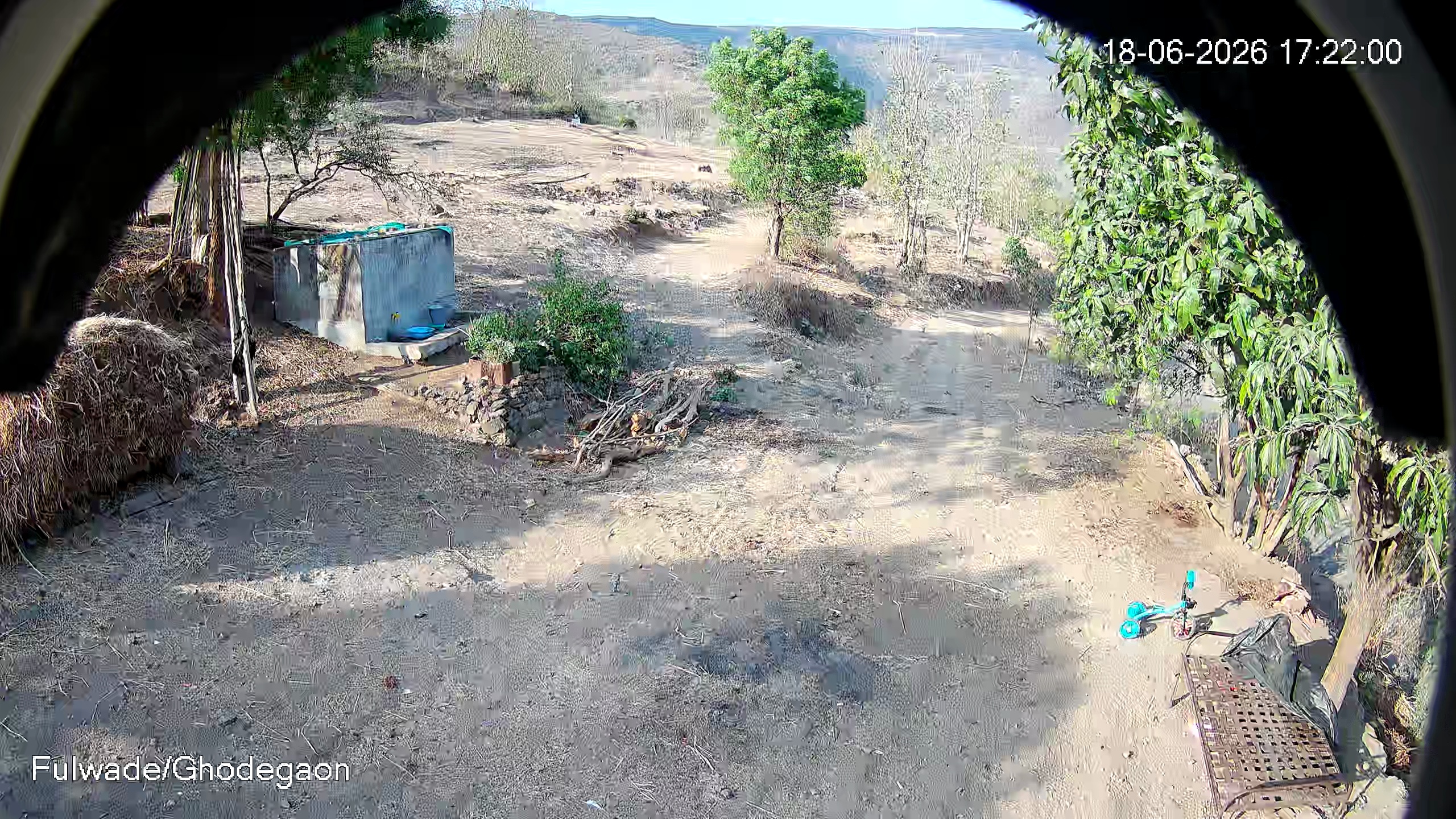 Leopard Image