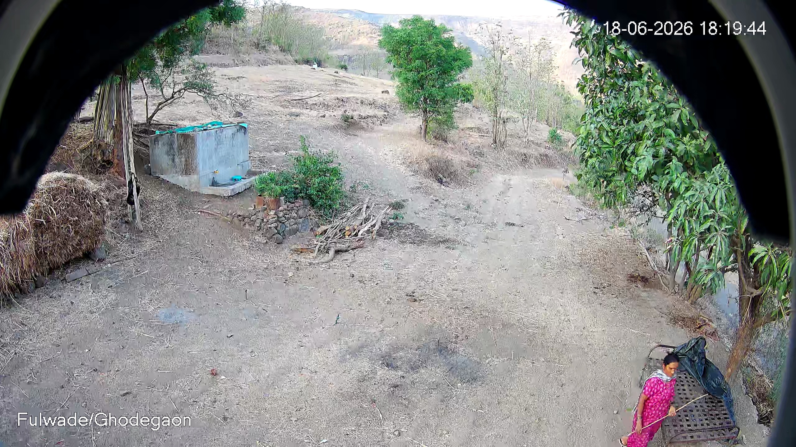 Leopard Image
