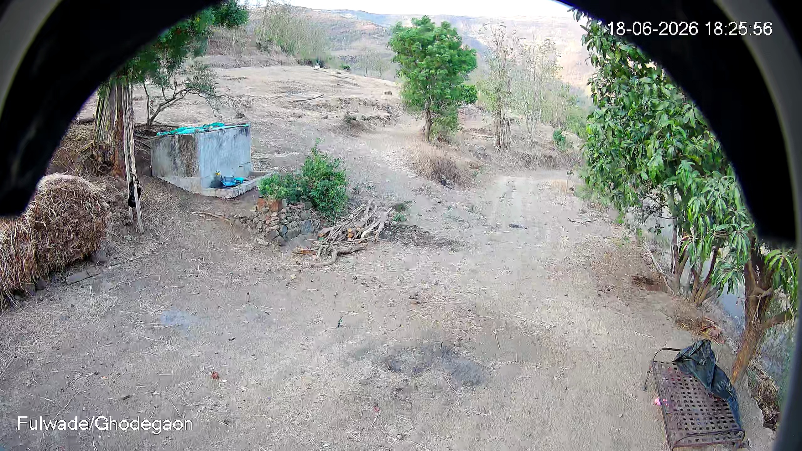 Leopard Image