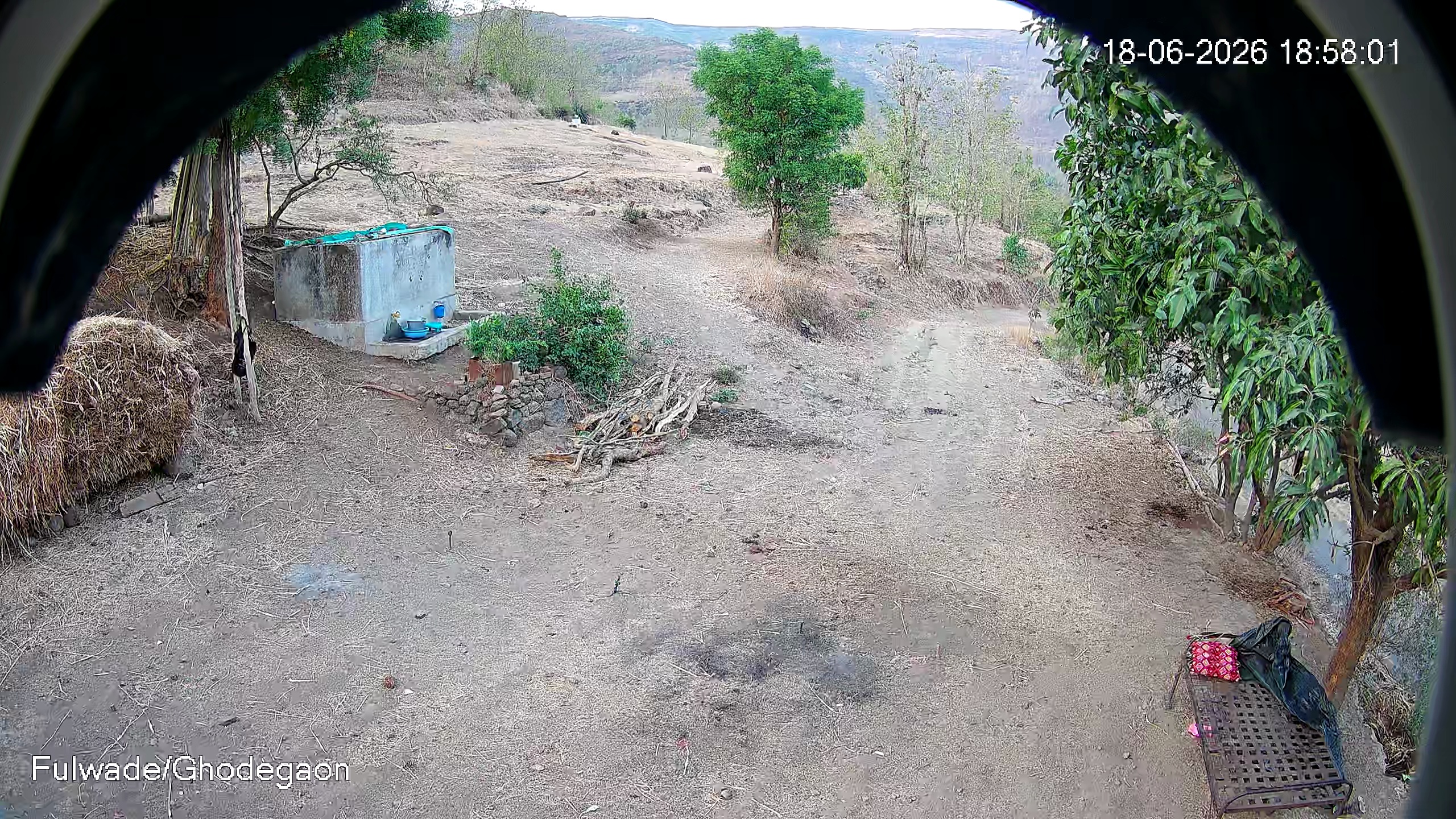 Leopard Image