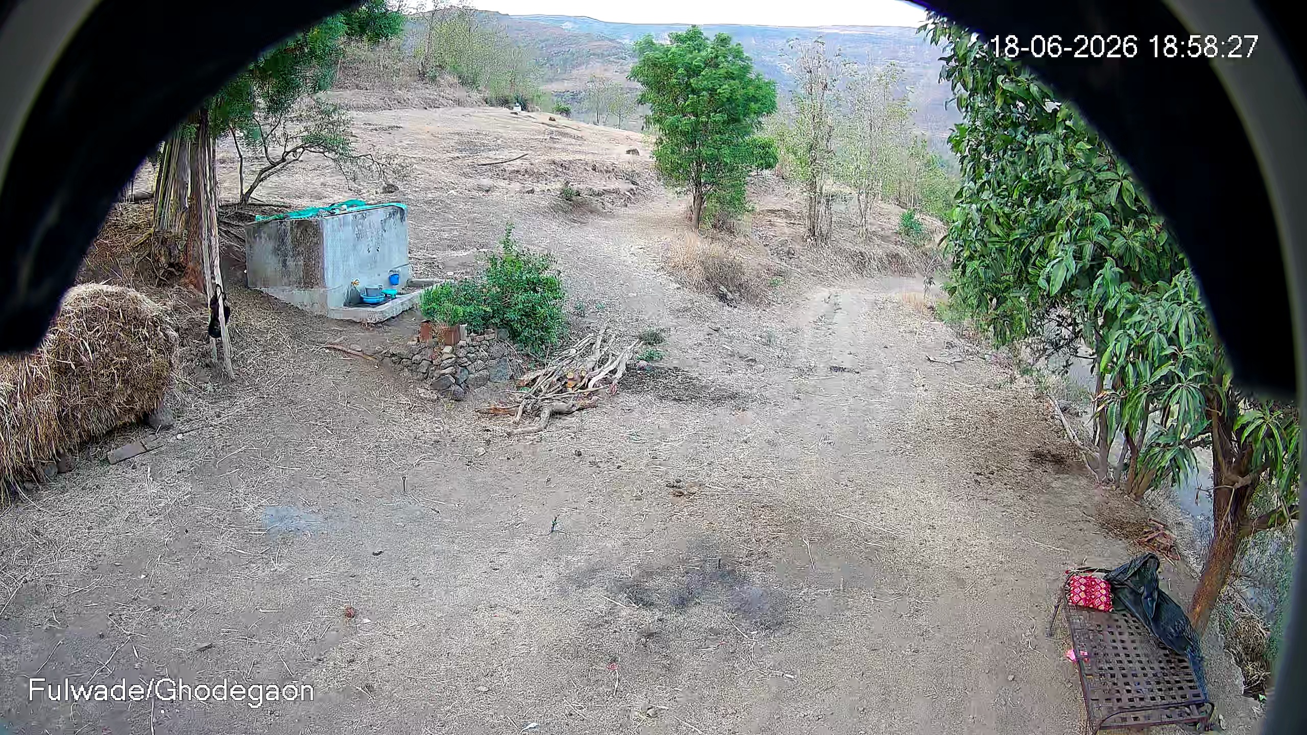 Leopard Image