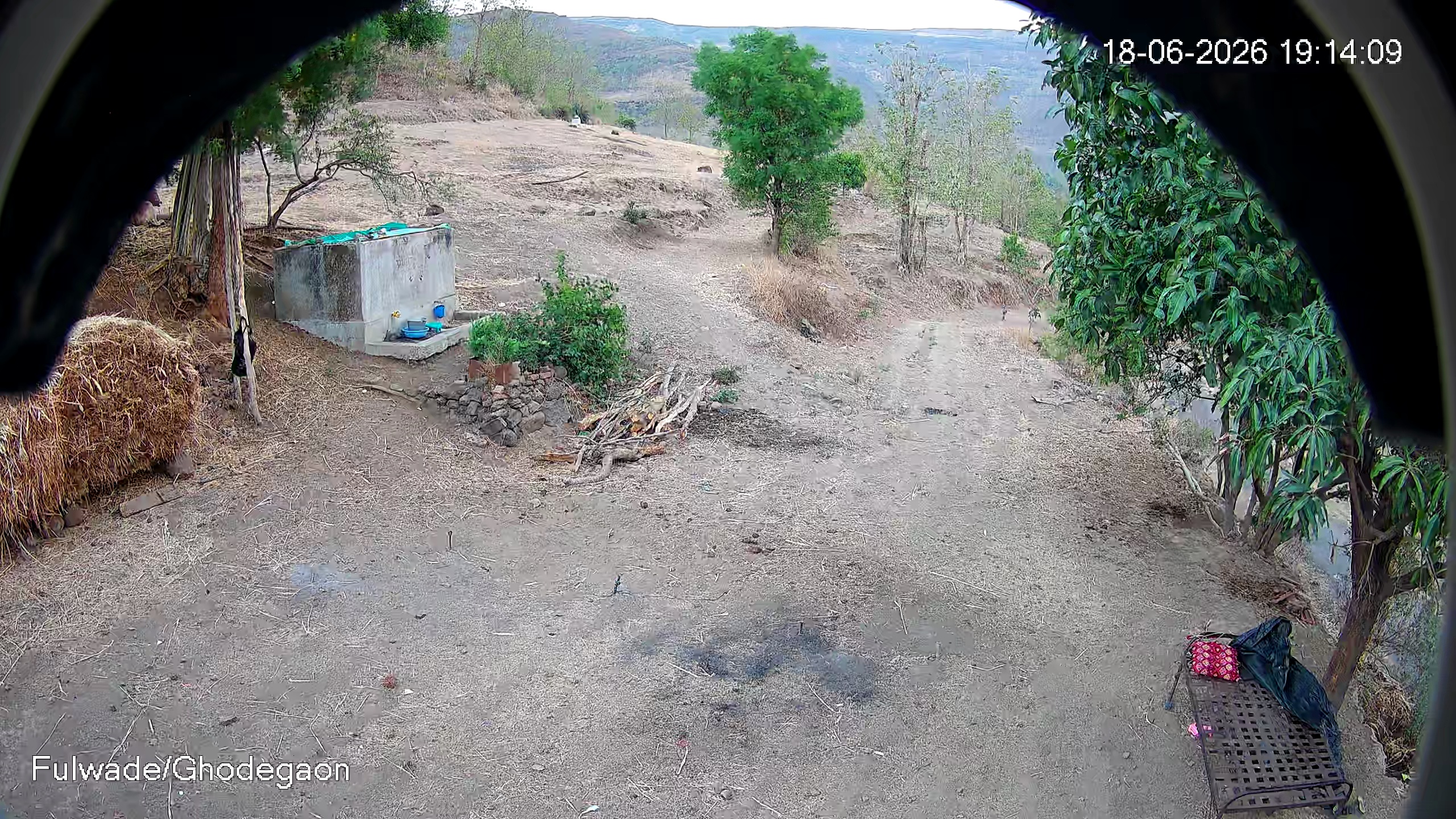 Leopard Image