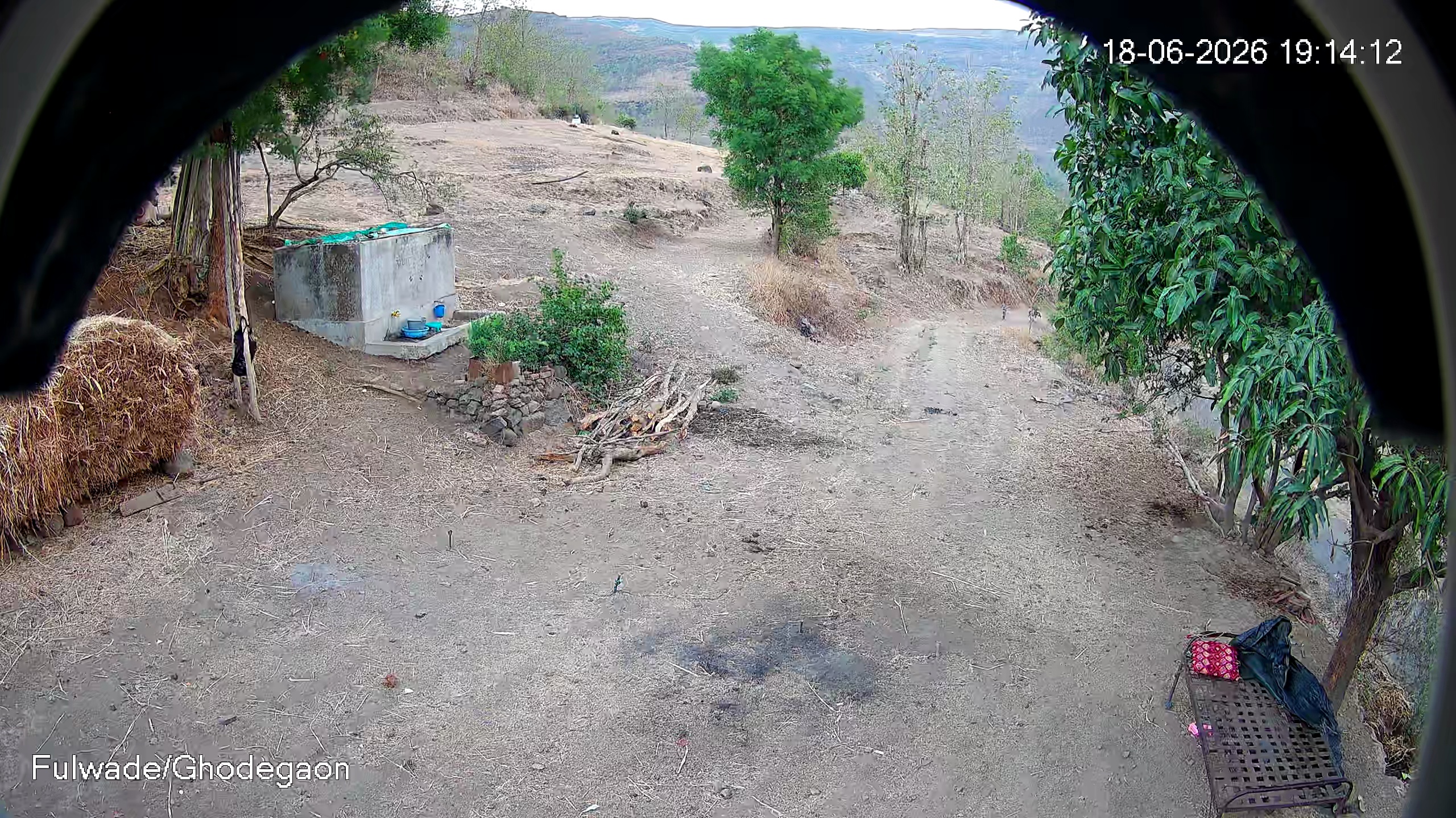 Leopard Image