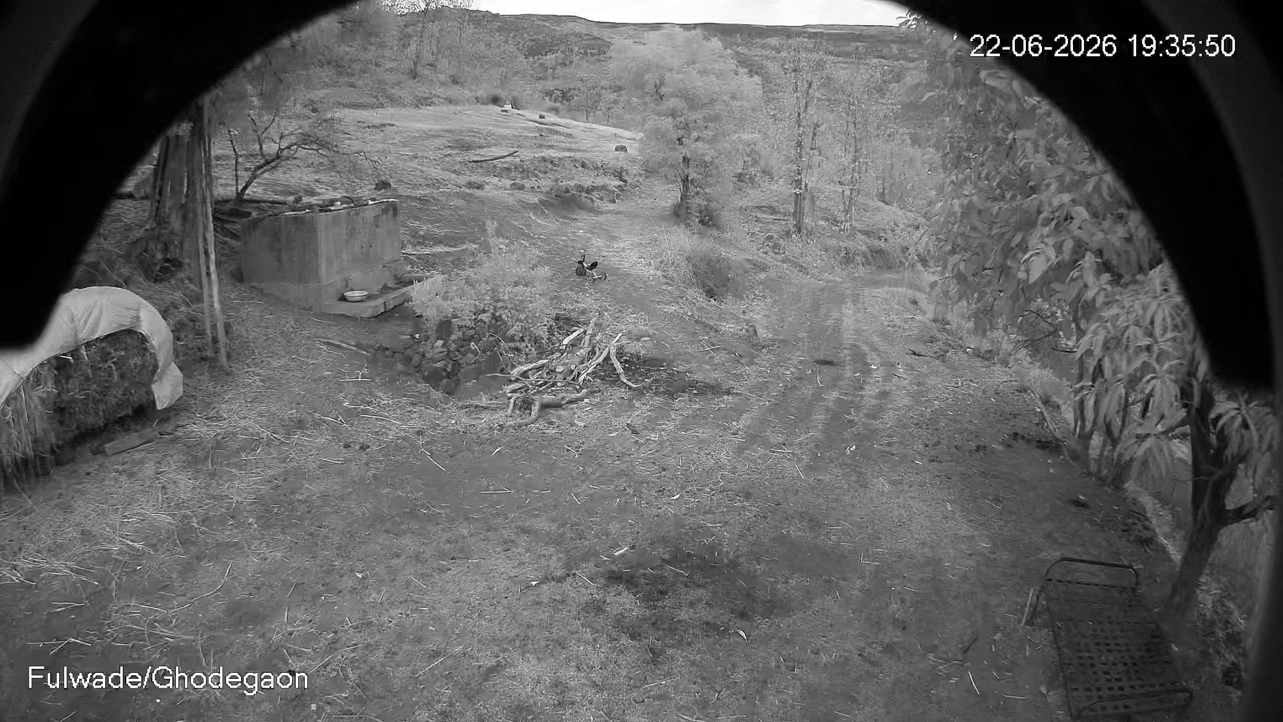 Leopard Image