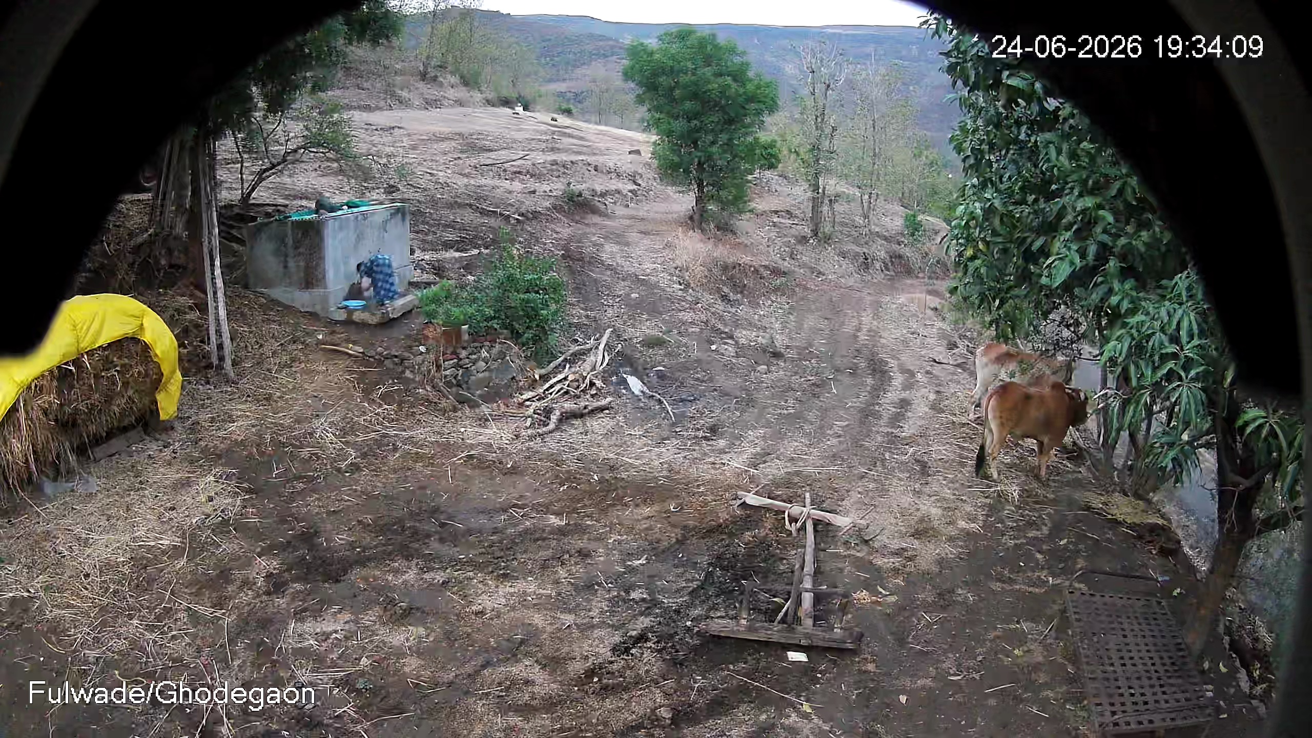 Leopard Image