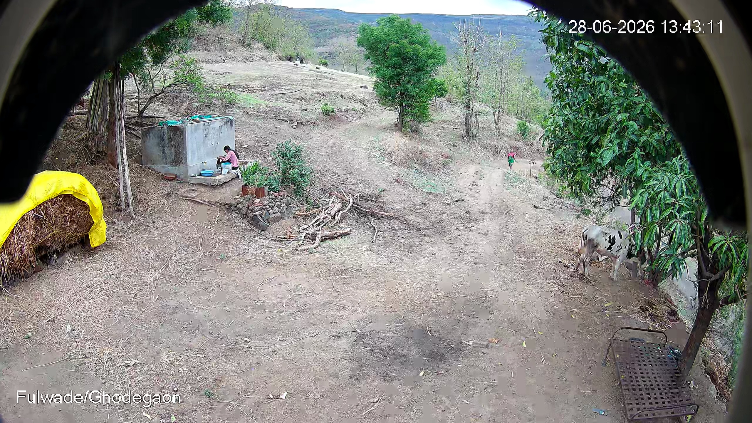 Leopard Image