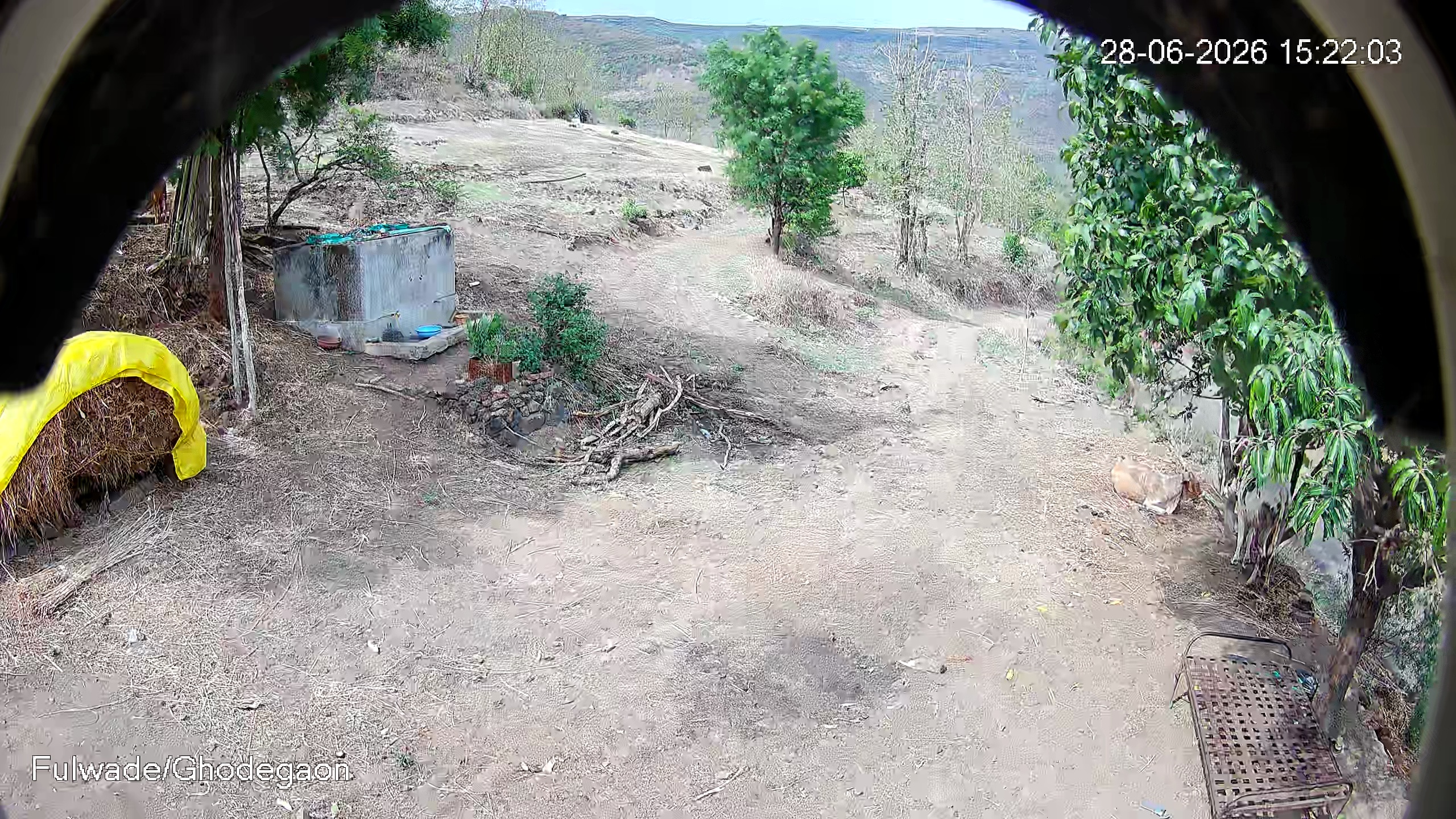 Leopard Image