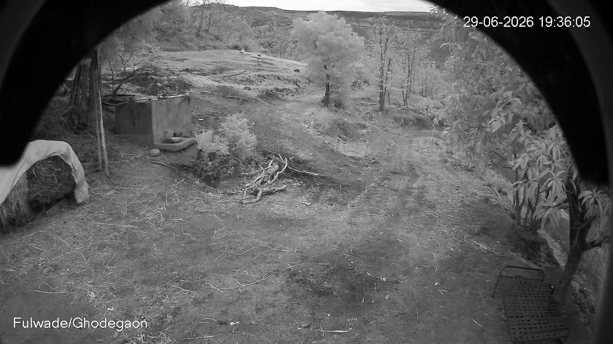 Leopard Image