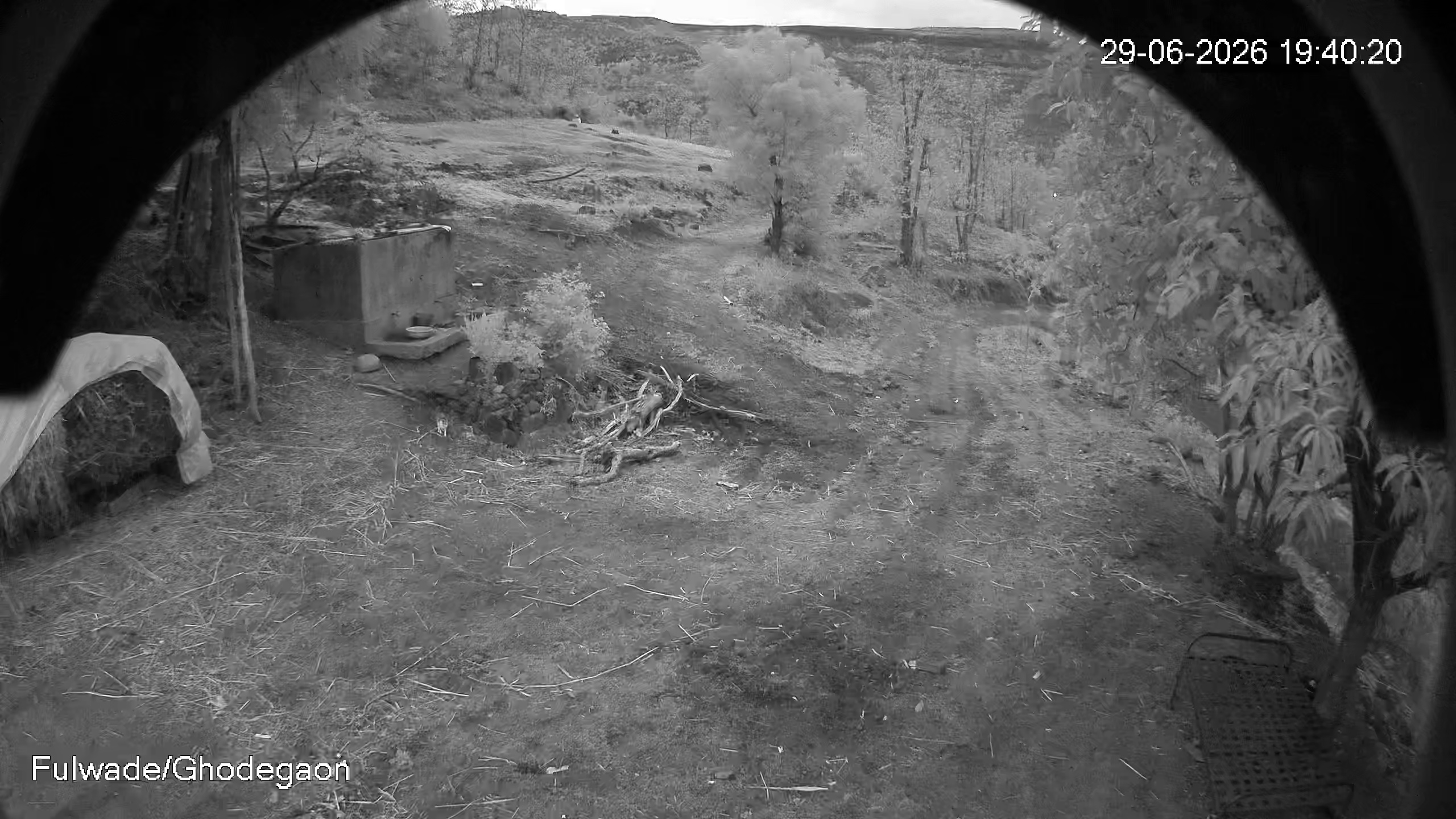 Leopard Image