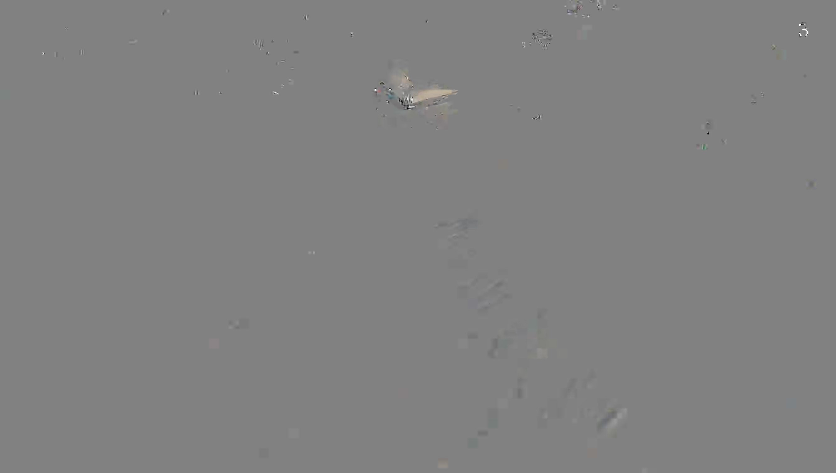 Leopard Image
