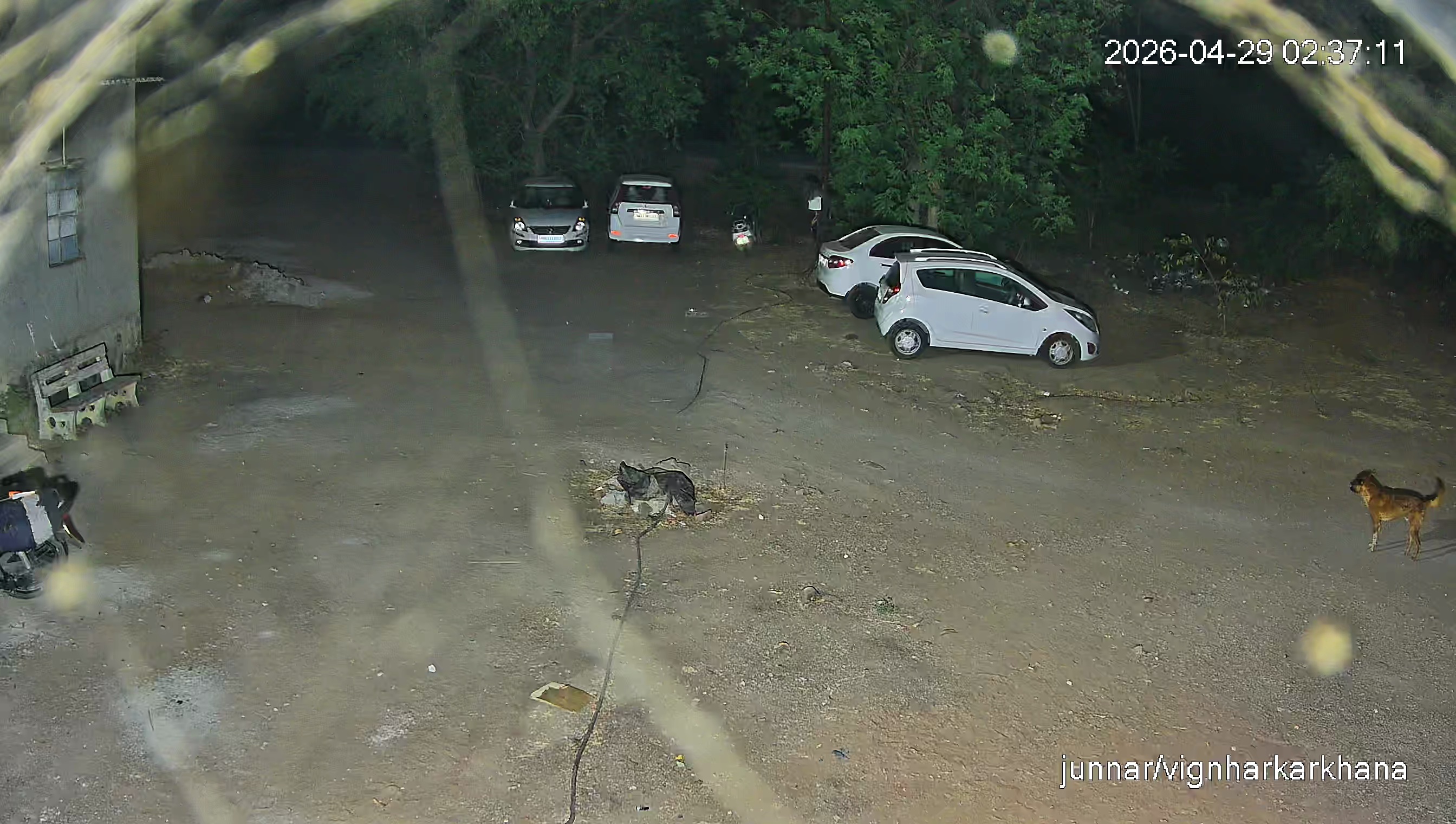 Leopard Image