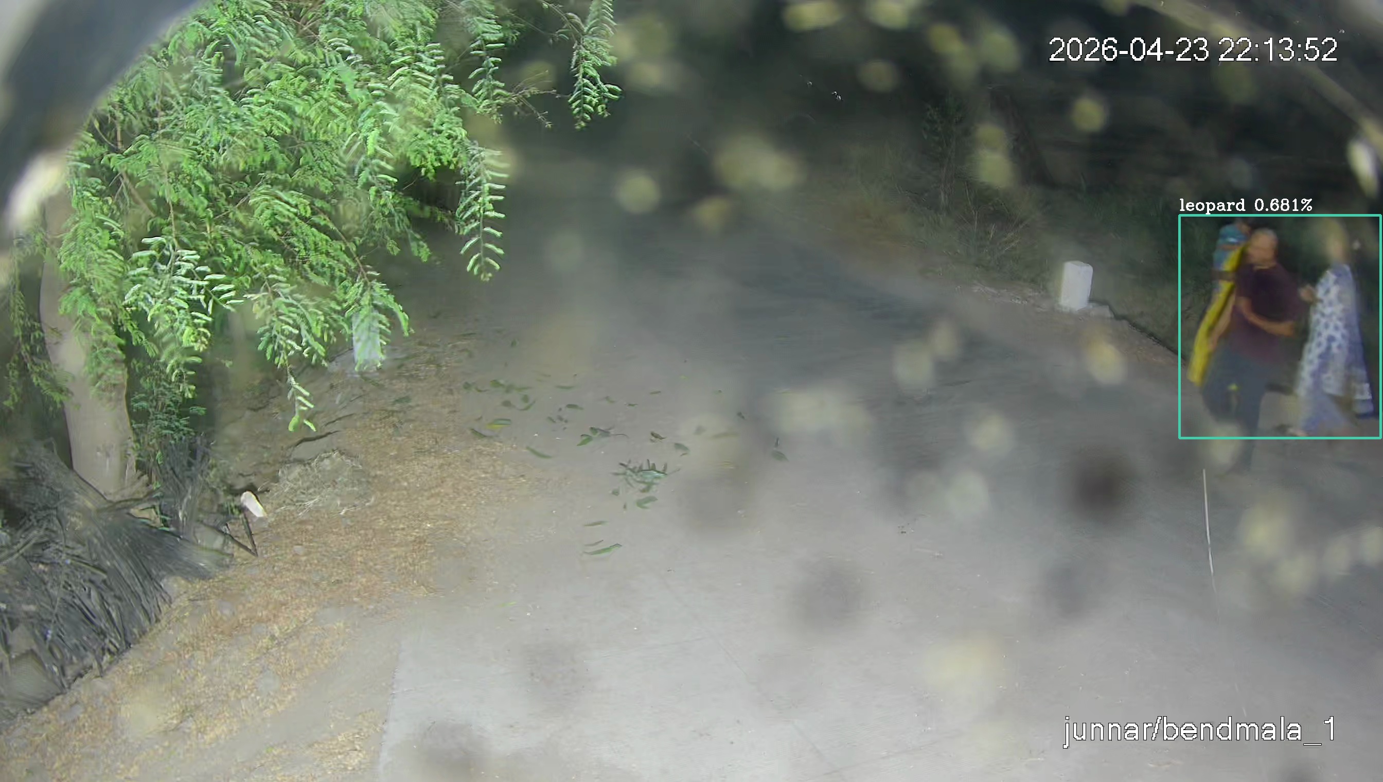 Leopard Image
