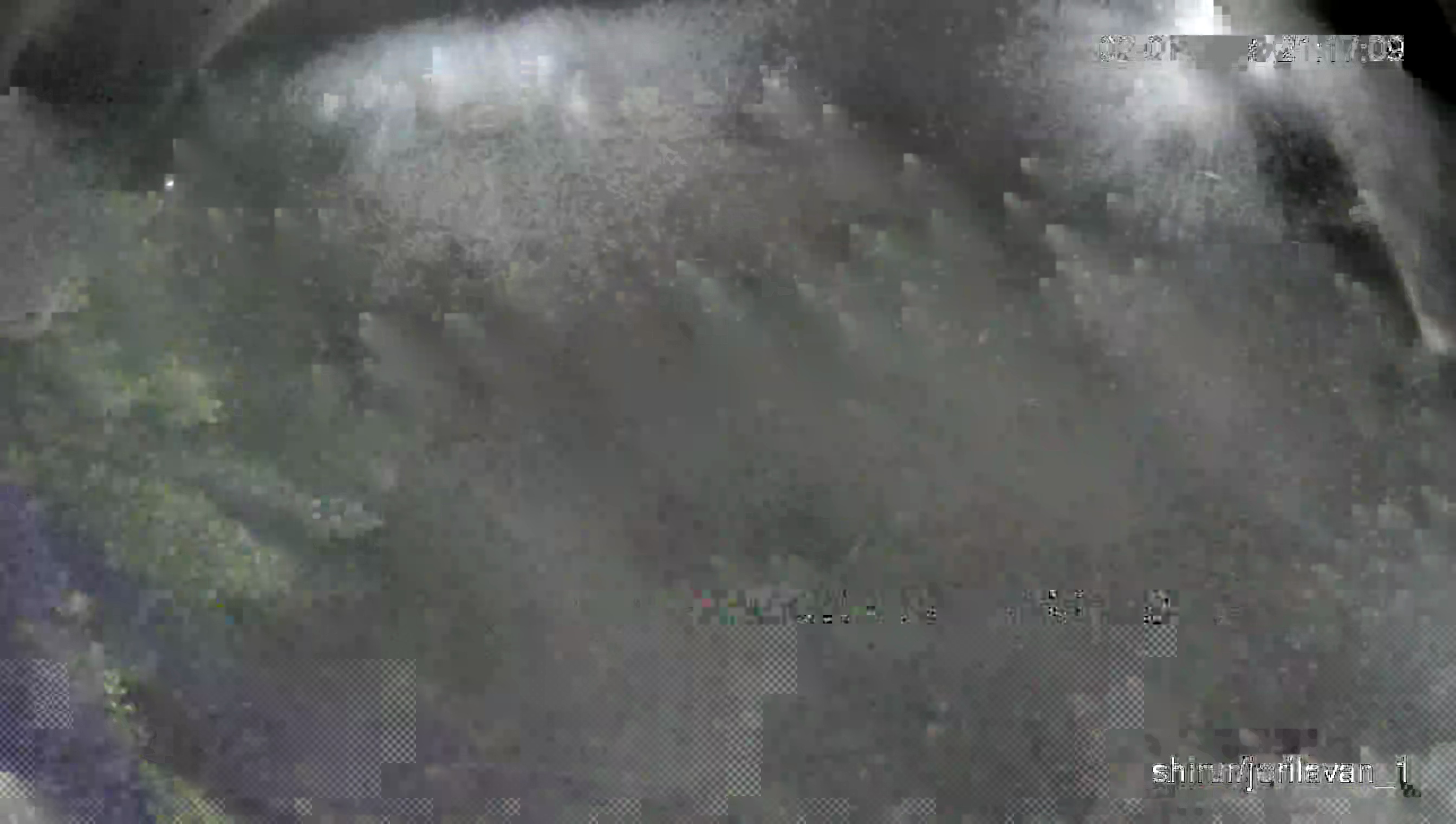 Leopard Image