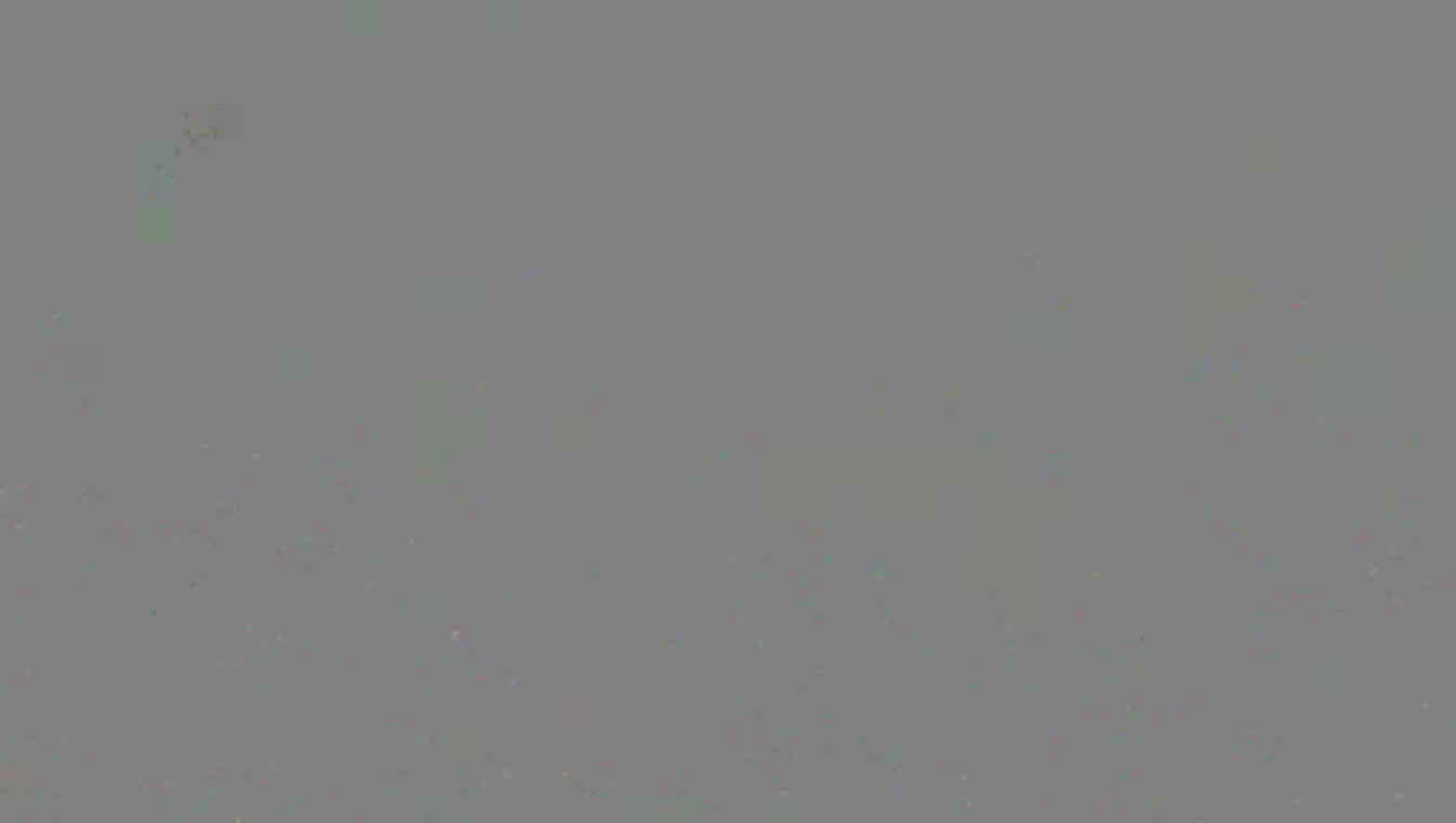 Leopard Image
