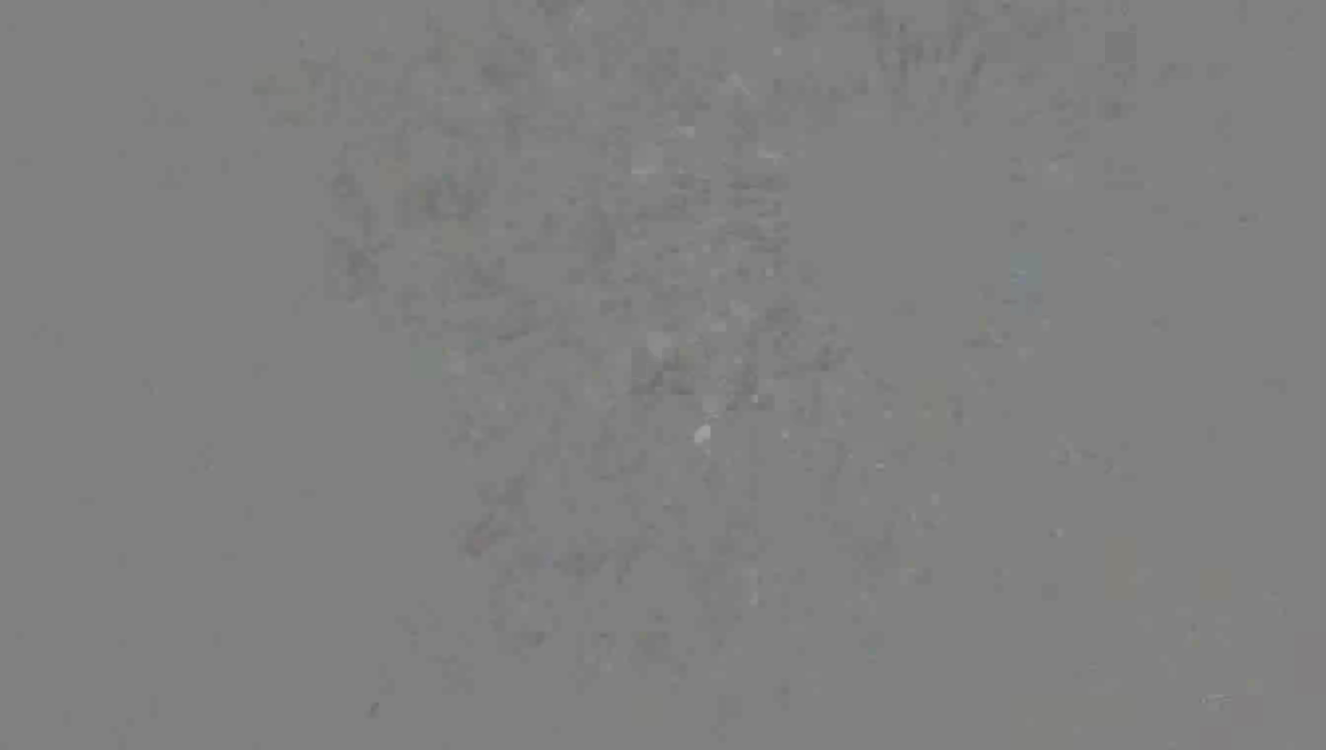 Leopard Image