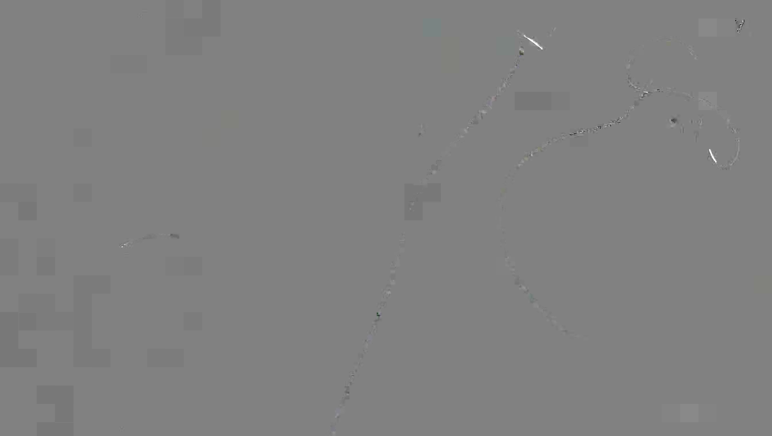 Leopard Image