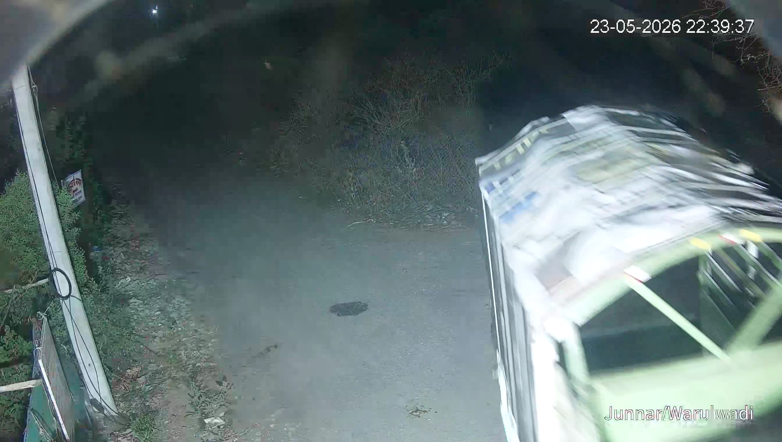 Leopard Image