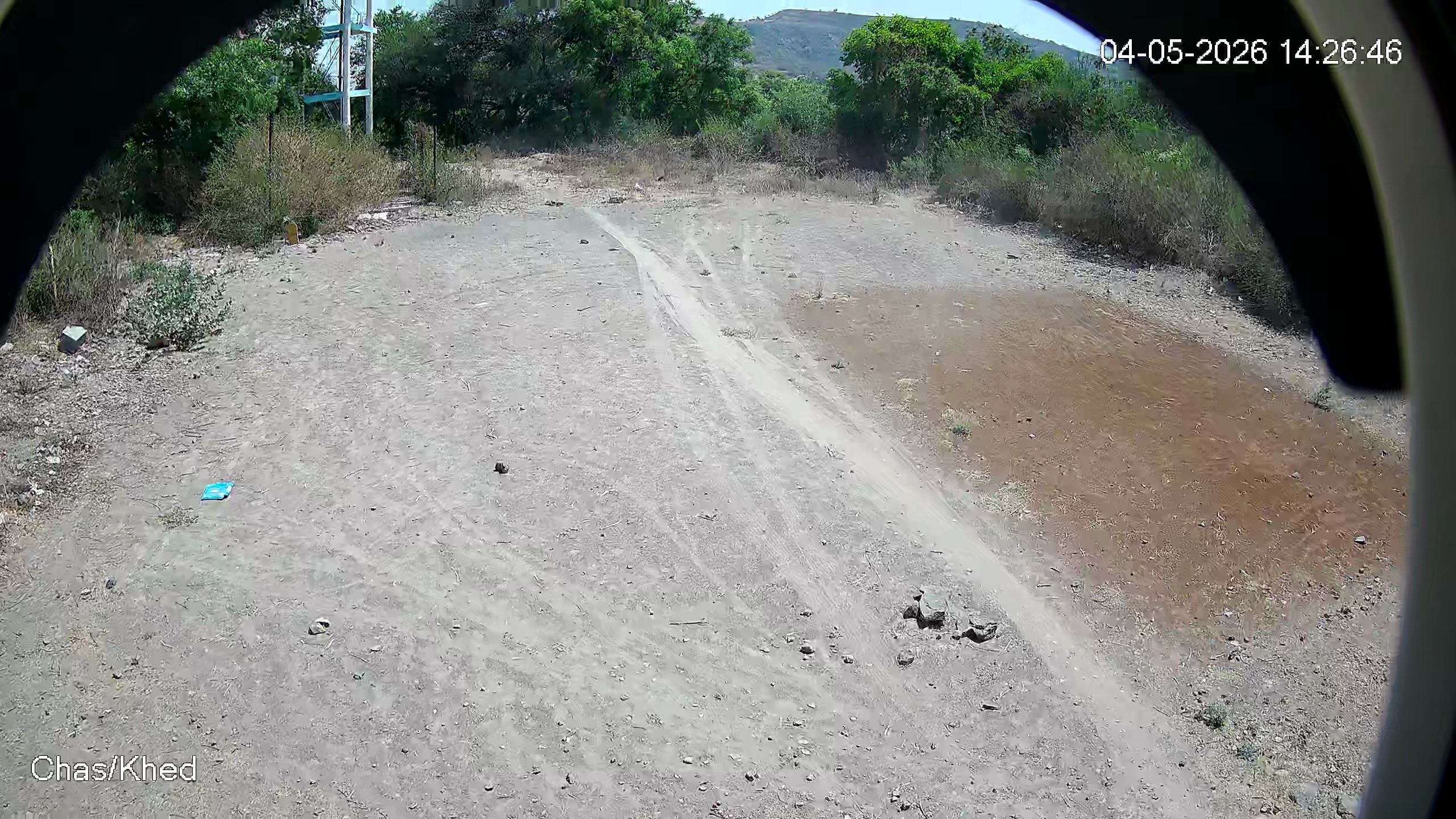 Leopard Image