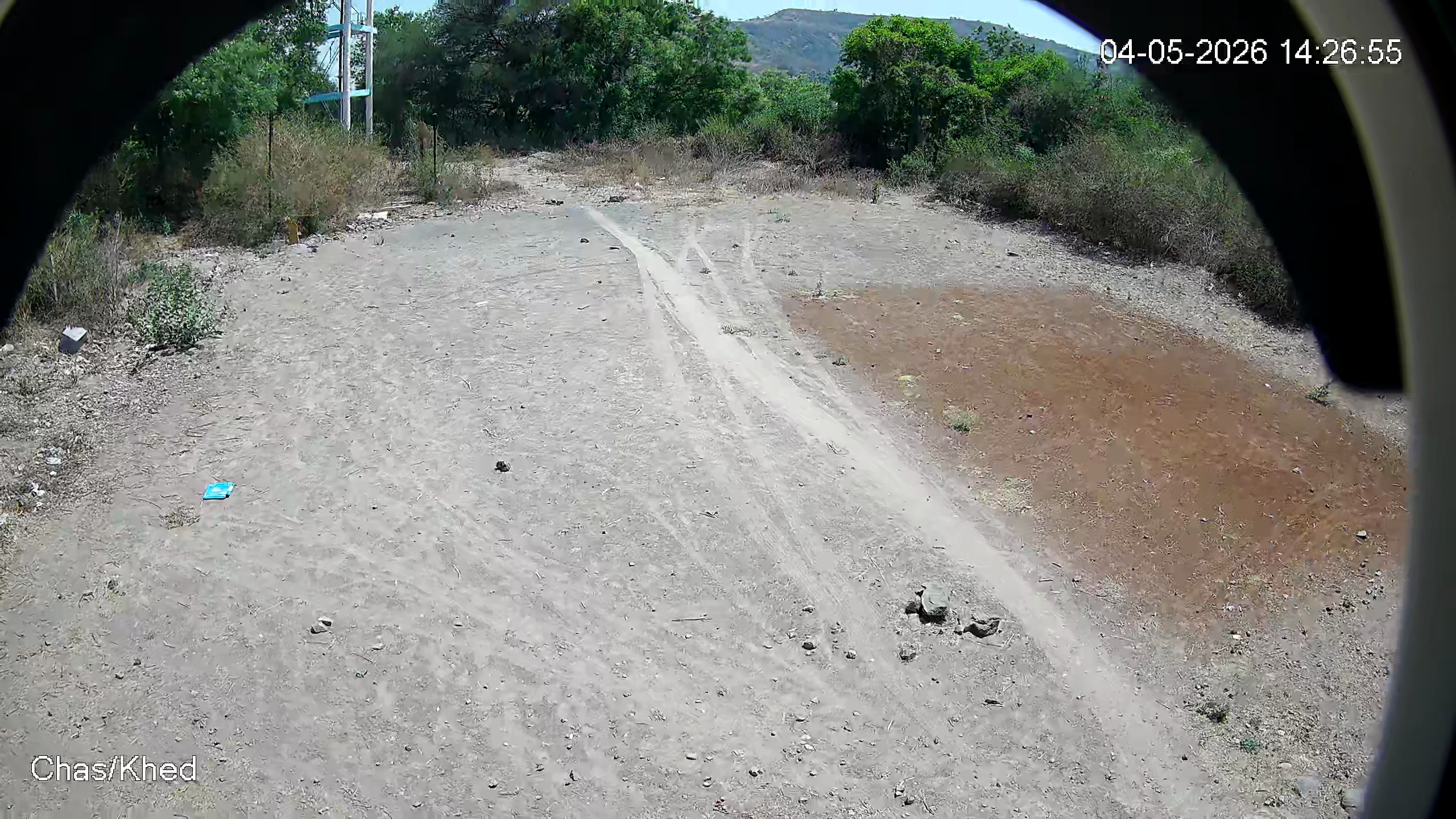Leopard Image