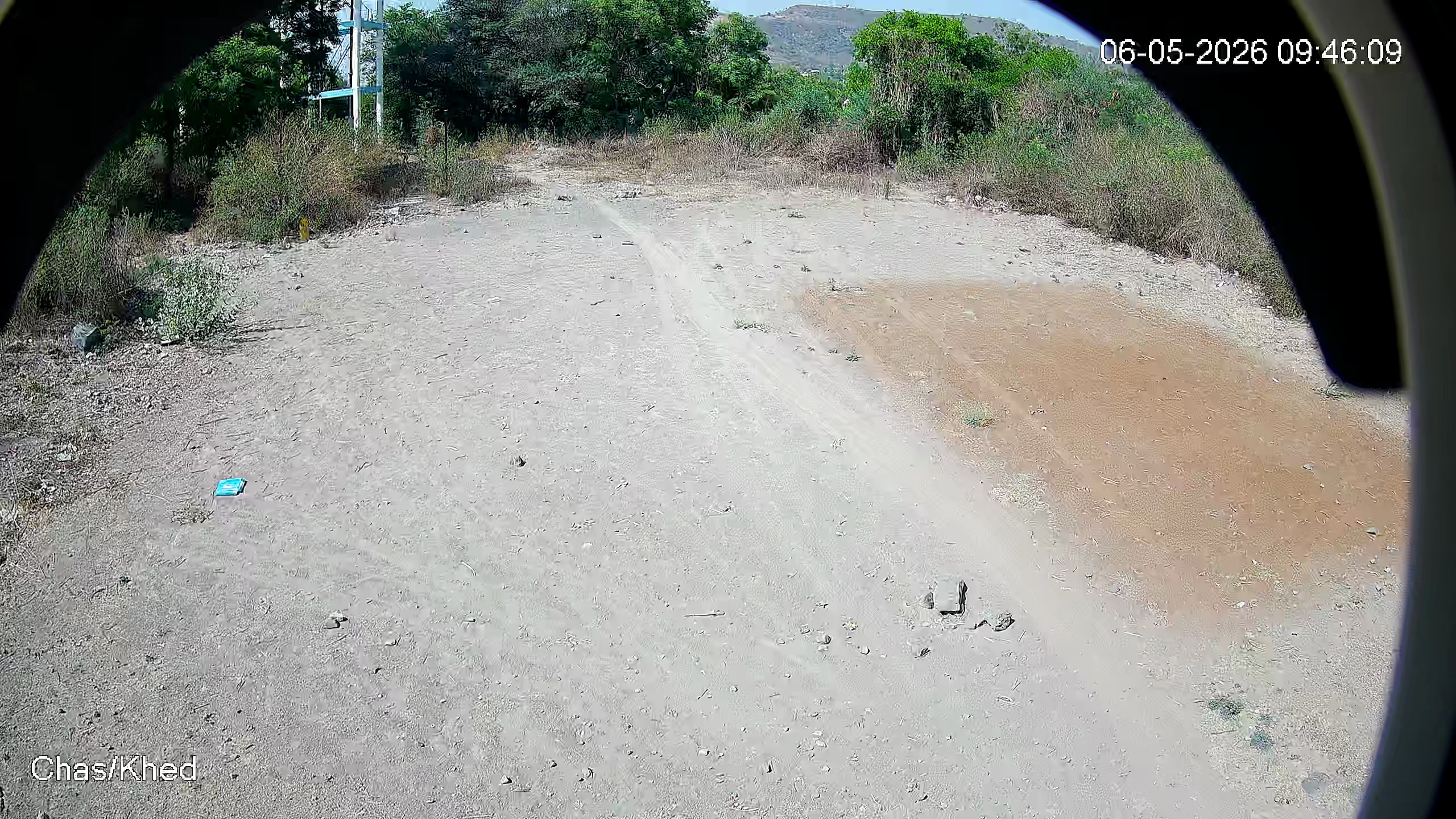 Leopard Image