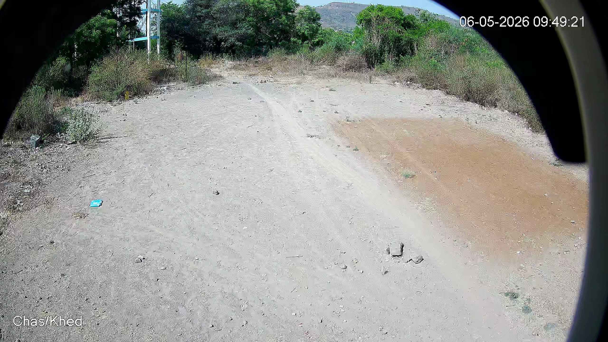 Leopard Image