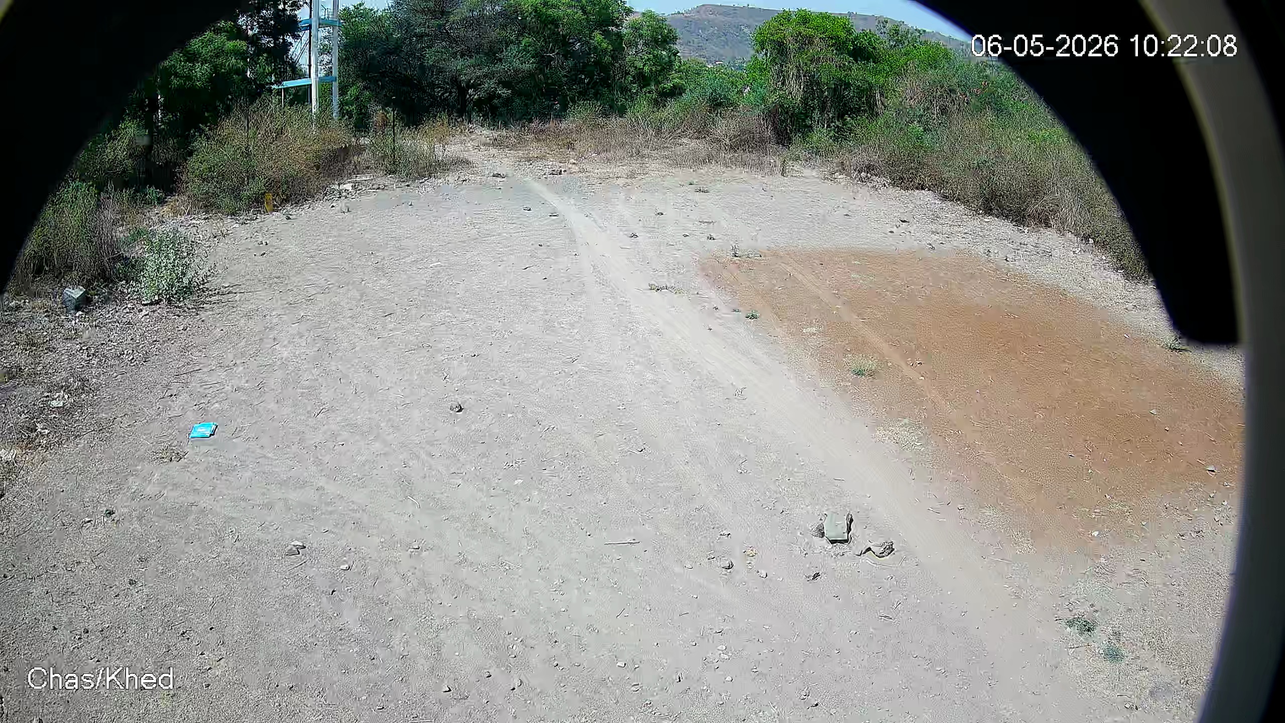 Leopard Image