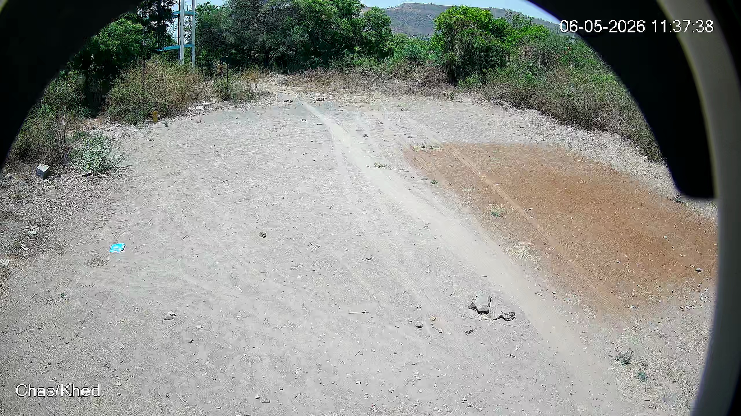 Leopard Image