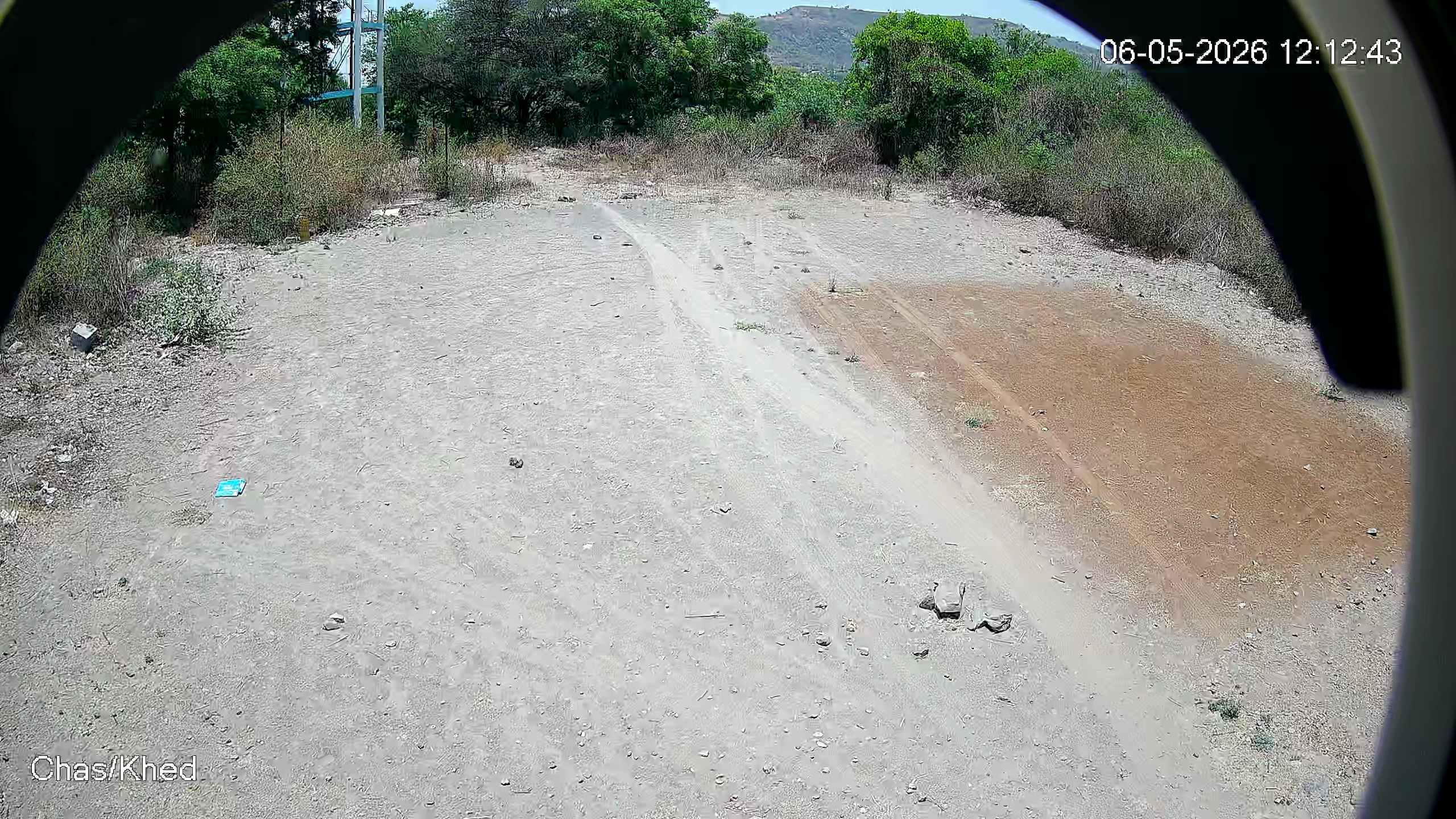 Leopard Image