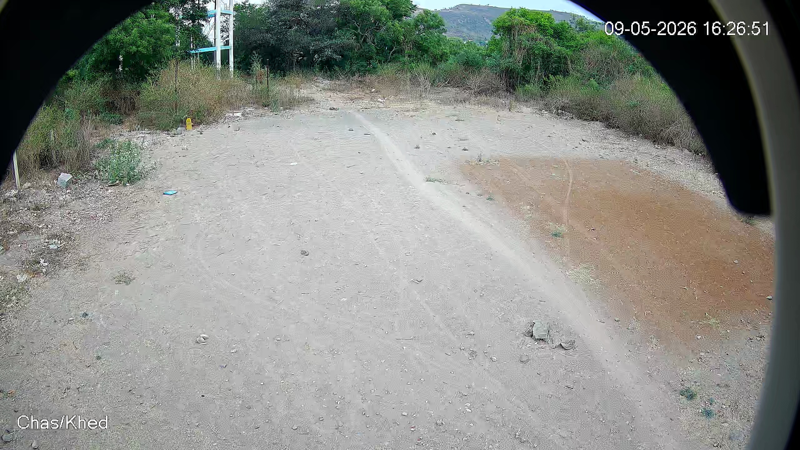 Leopard Image