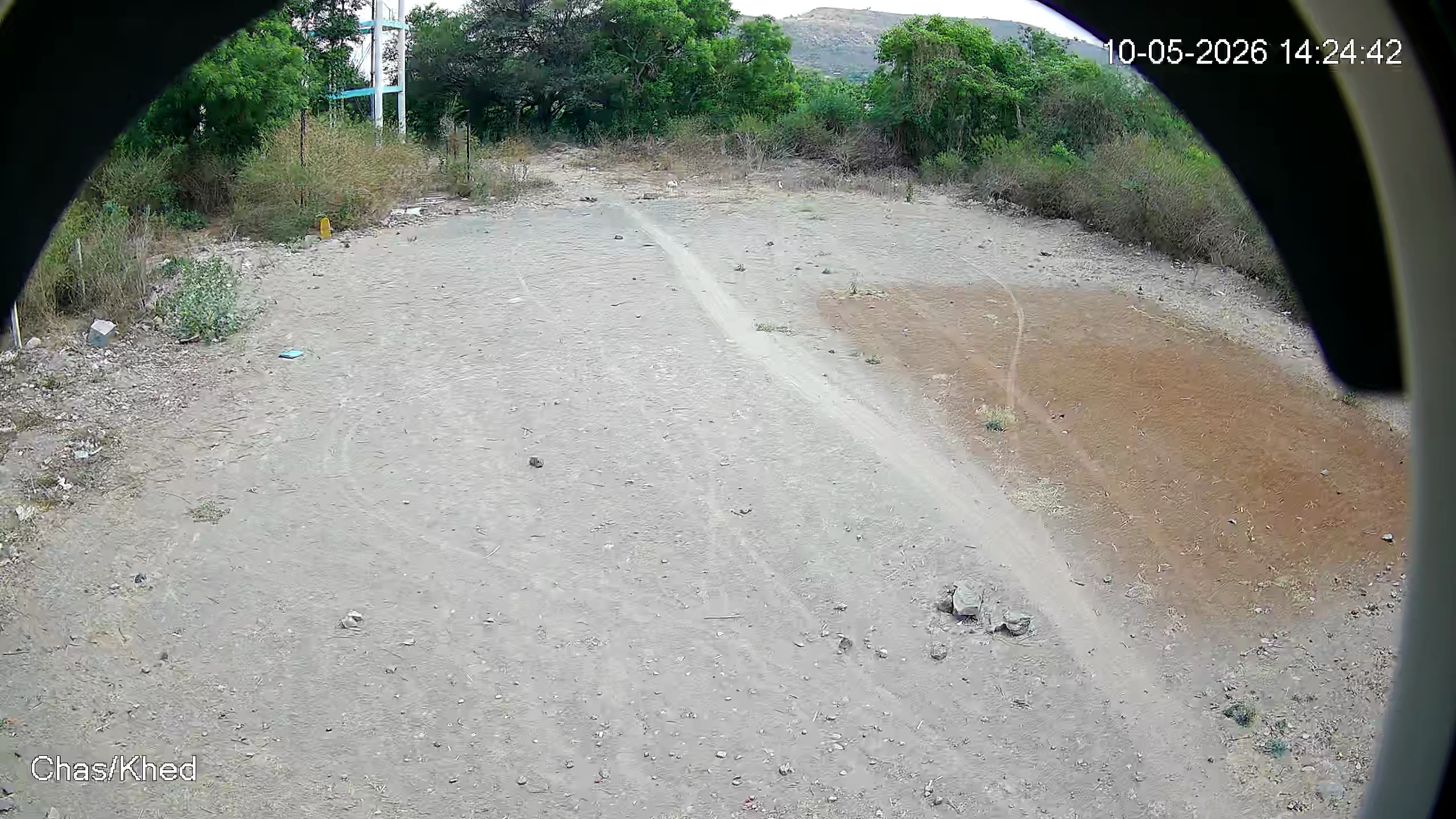 Leopard Image