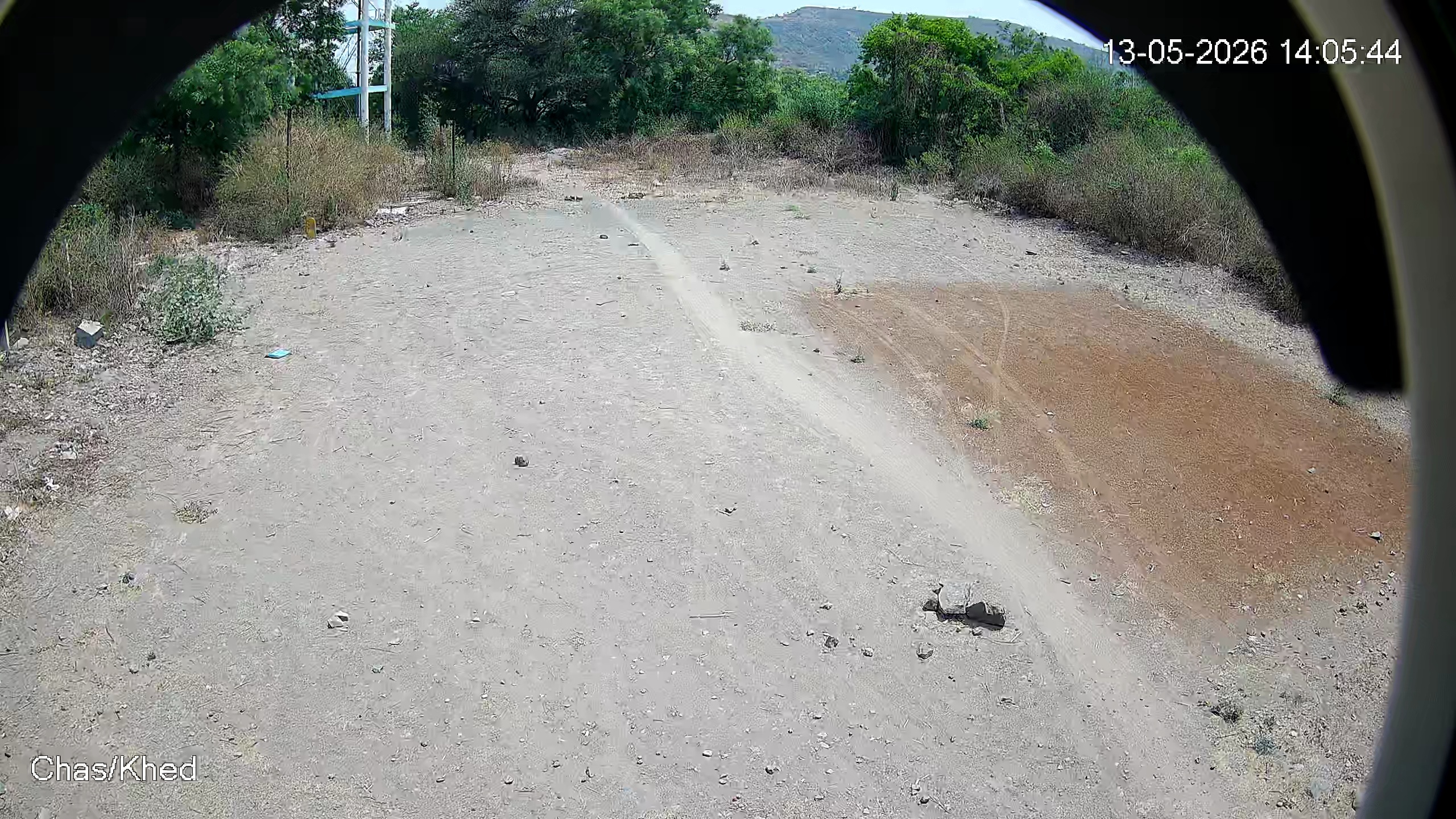 Leopard Image