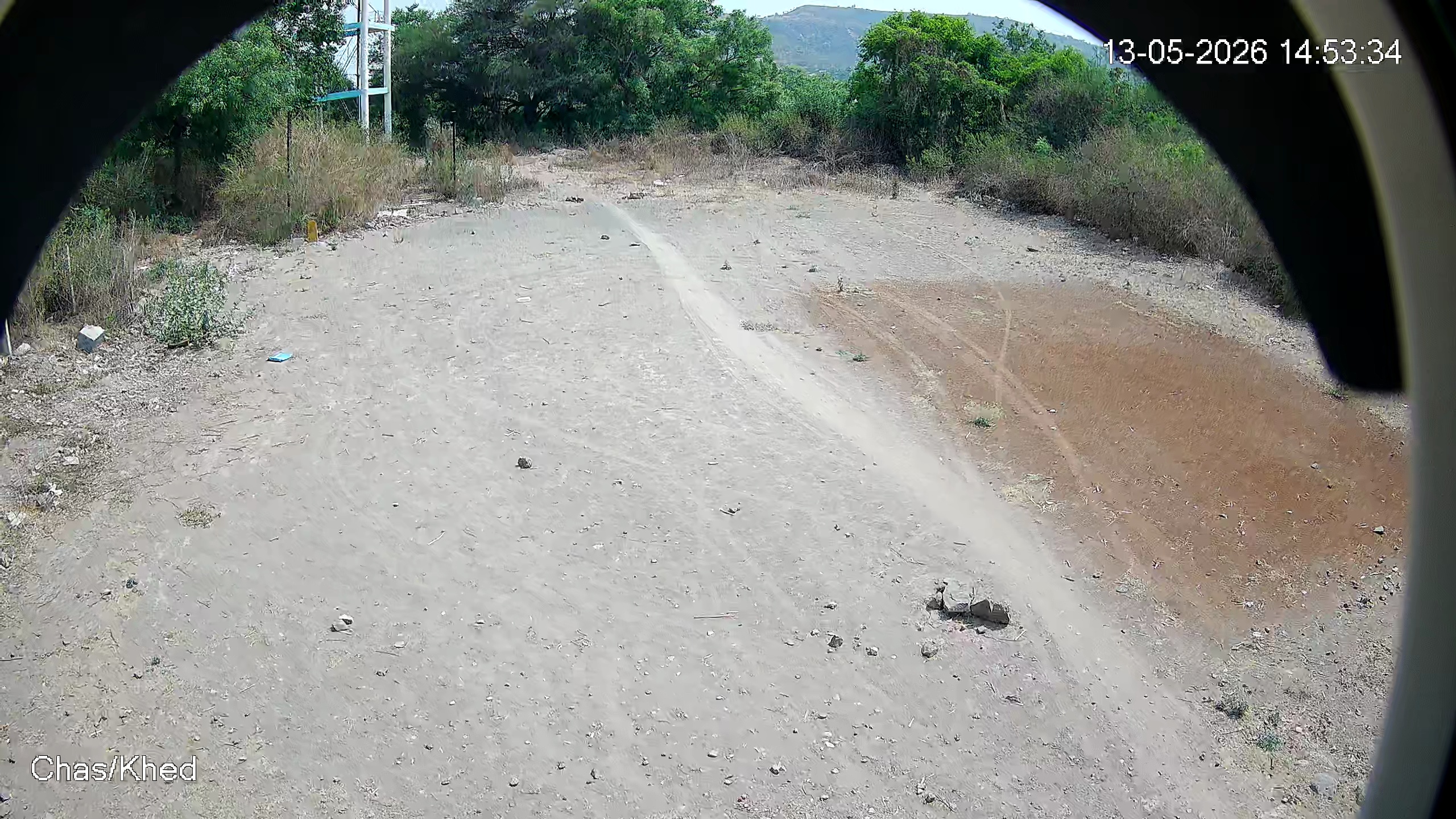Leopard Image