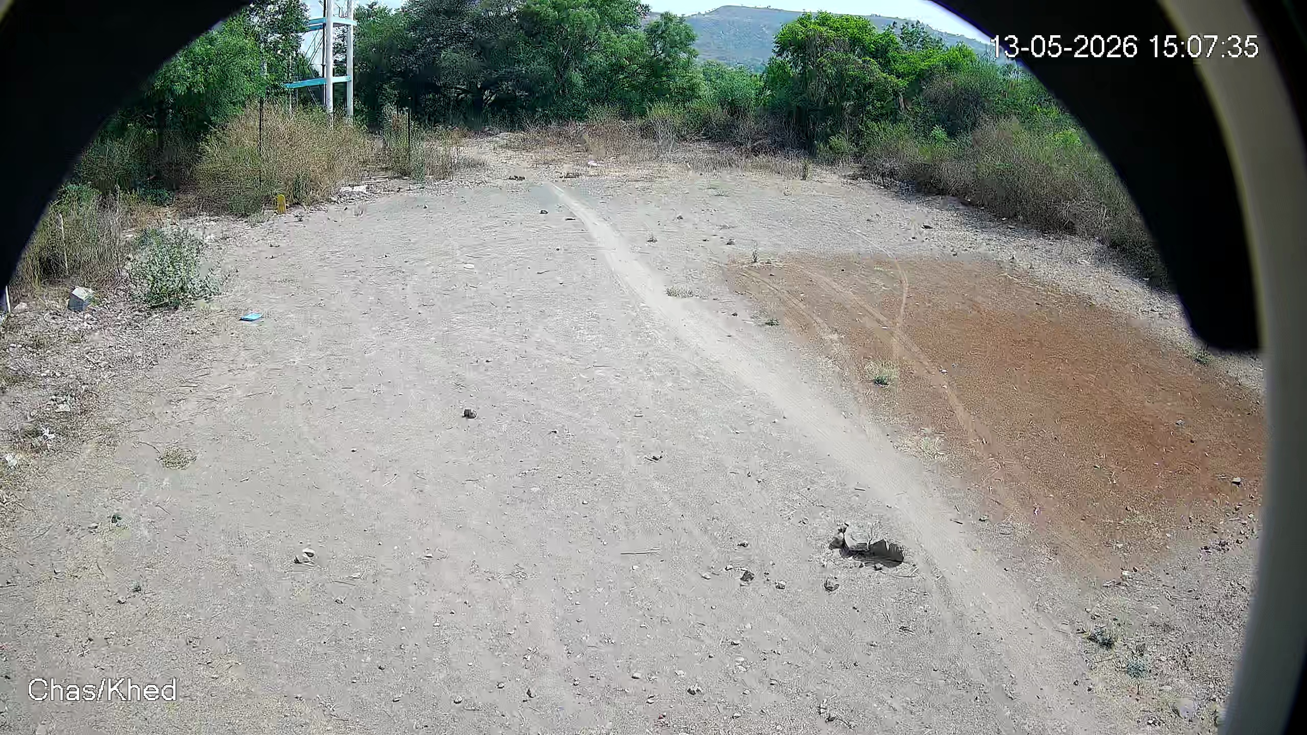 Leopard Image