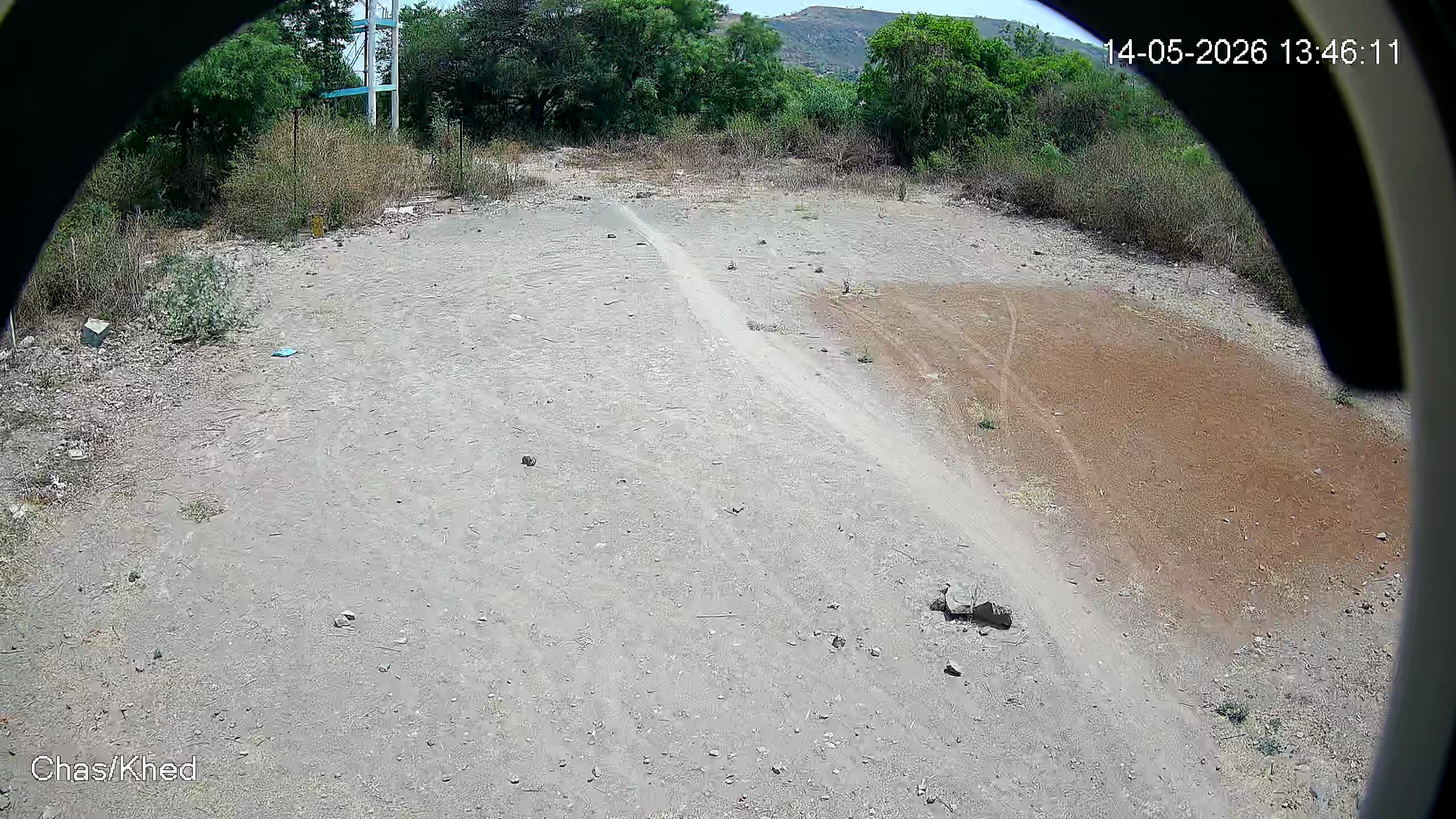 Leopard Image