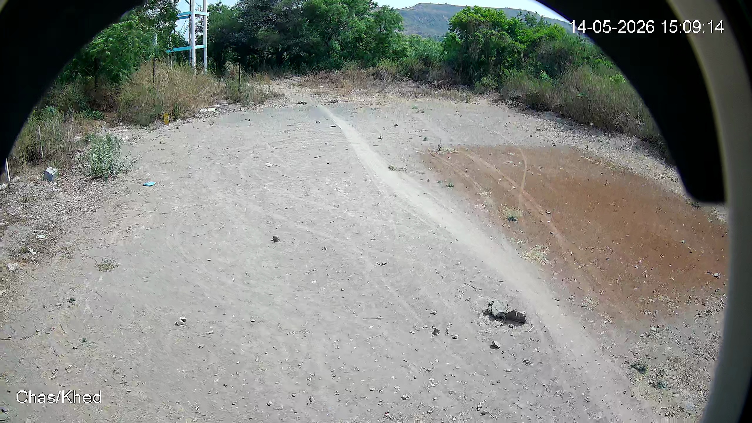Leopard Image