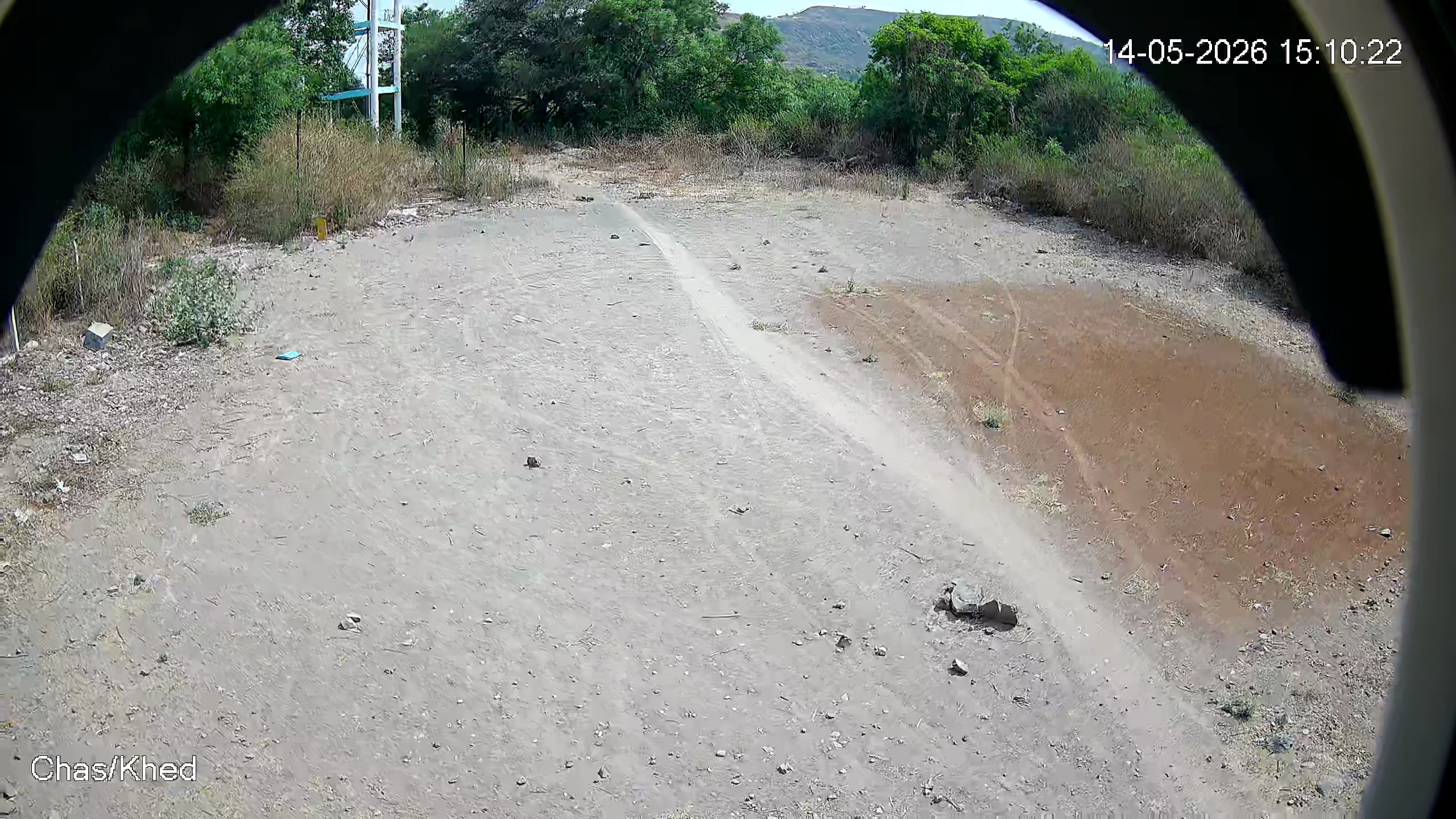 Leopard Image