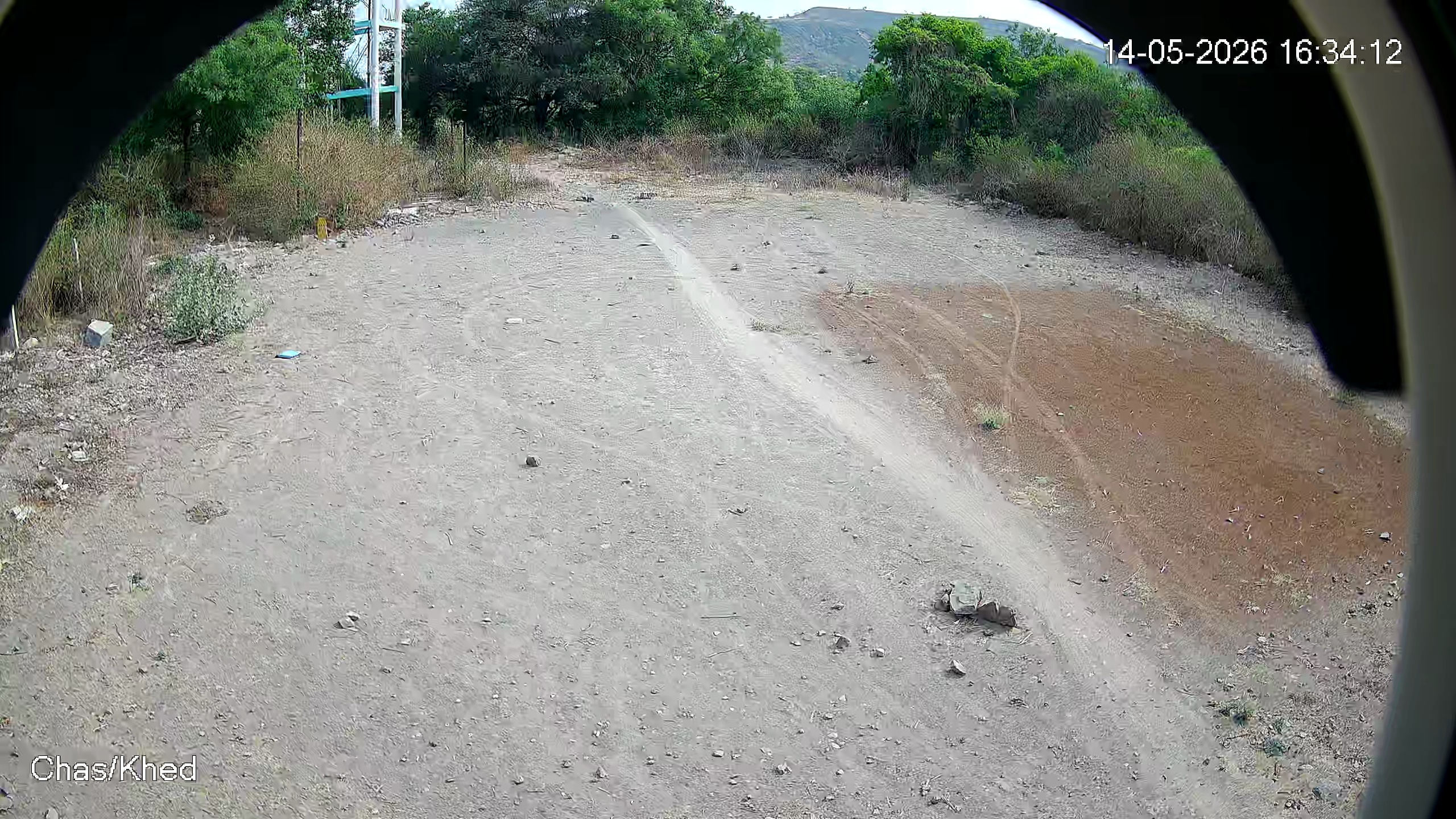 Leopard Image