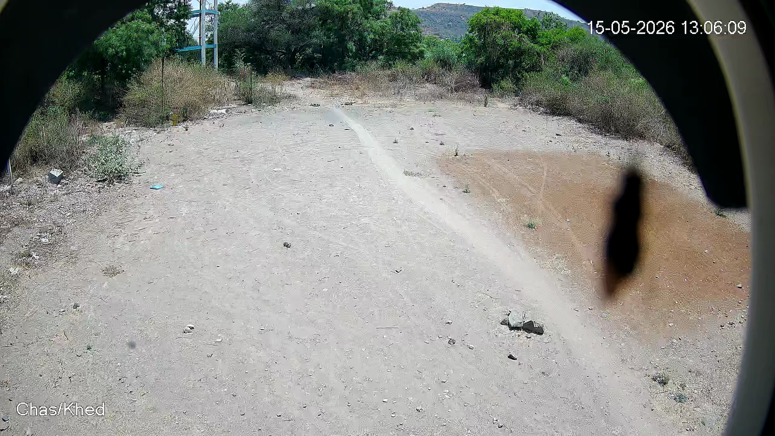 Leopard Image