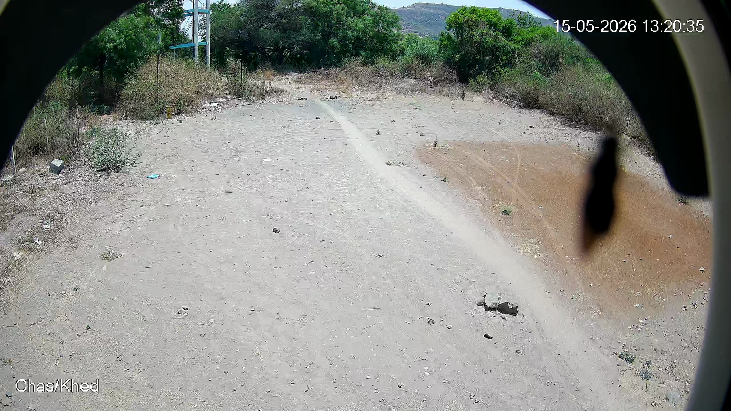 Leopard Image