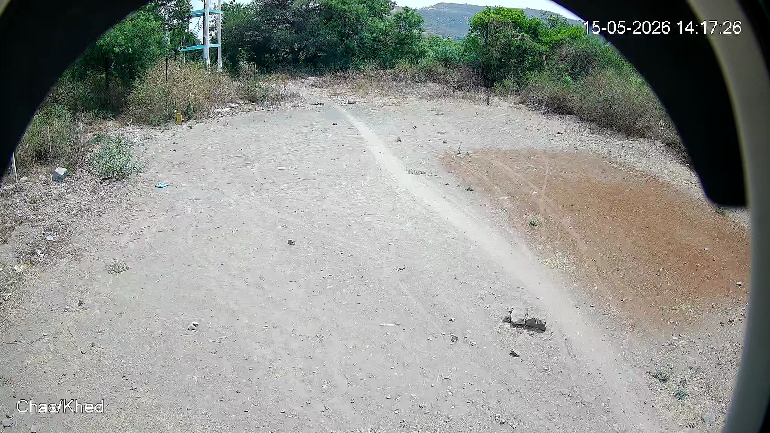 Leopard Image